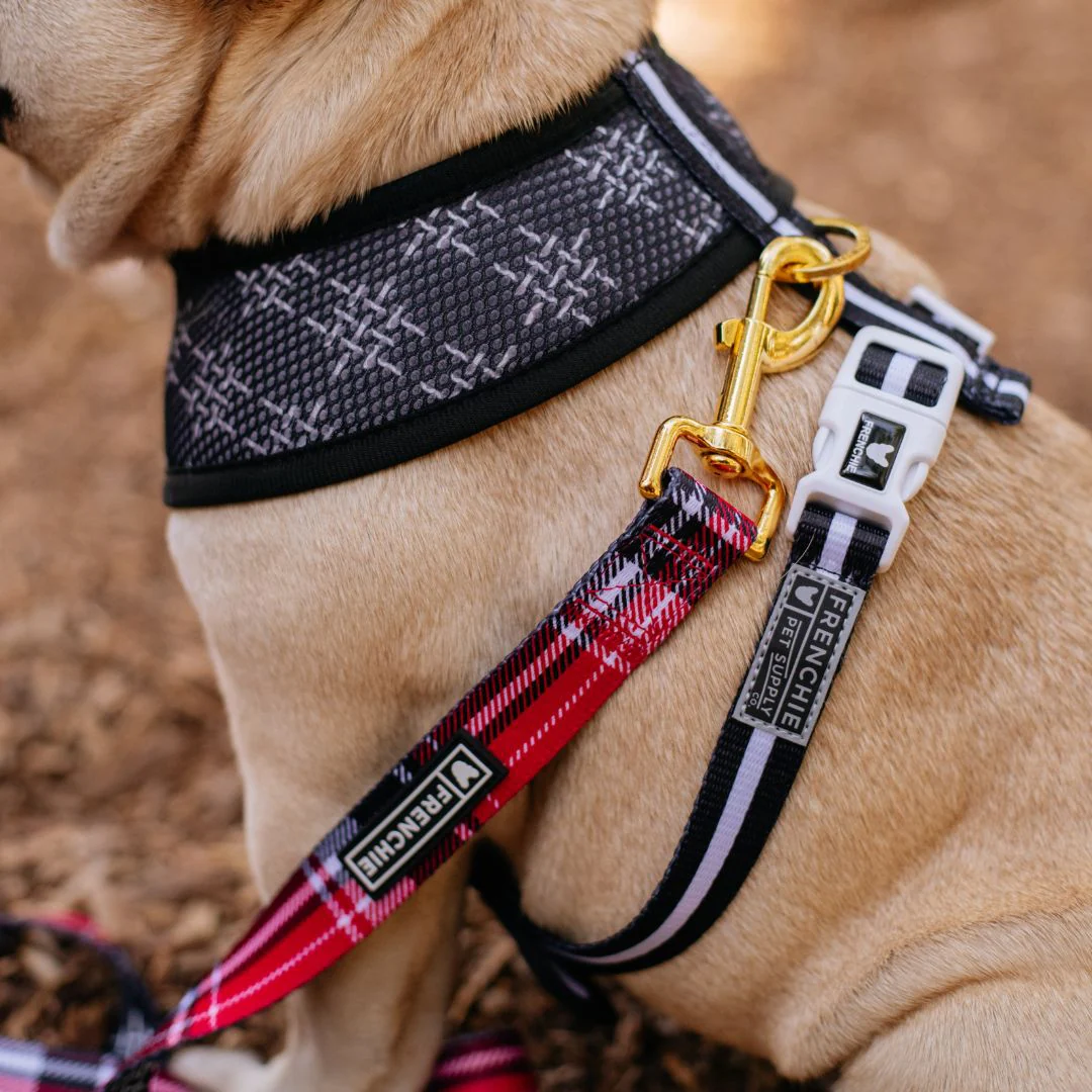 Frenchie Duo Reversible Harness - Scarlet Plaid - Image 11