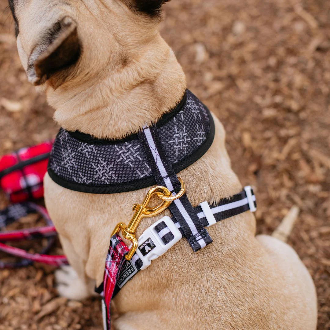 Frenchie Duo Reversible Harness - Scarlet Plaid - Image 3