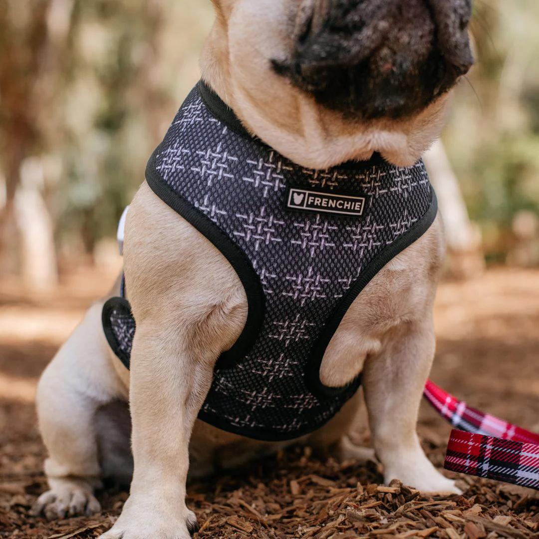 Frenchie Duo Reversible Harness - Scarlet Plaid - Image 7