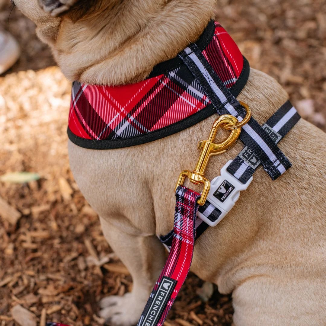 Frenchie Duo Reversible Harness - Scarlet Plaid - Image 8