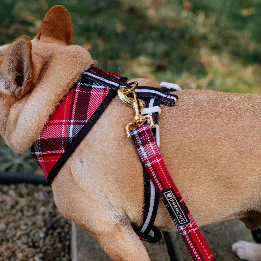 Frenchie Duo Reversible Harness - Scarlet Plaid - Image 9