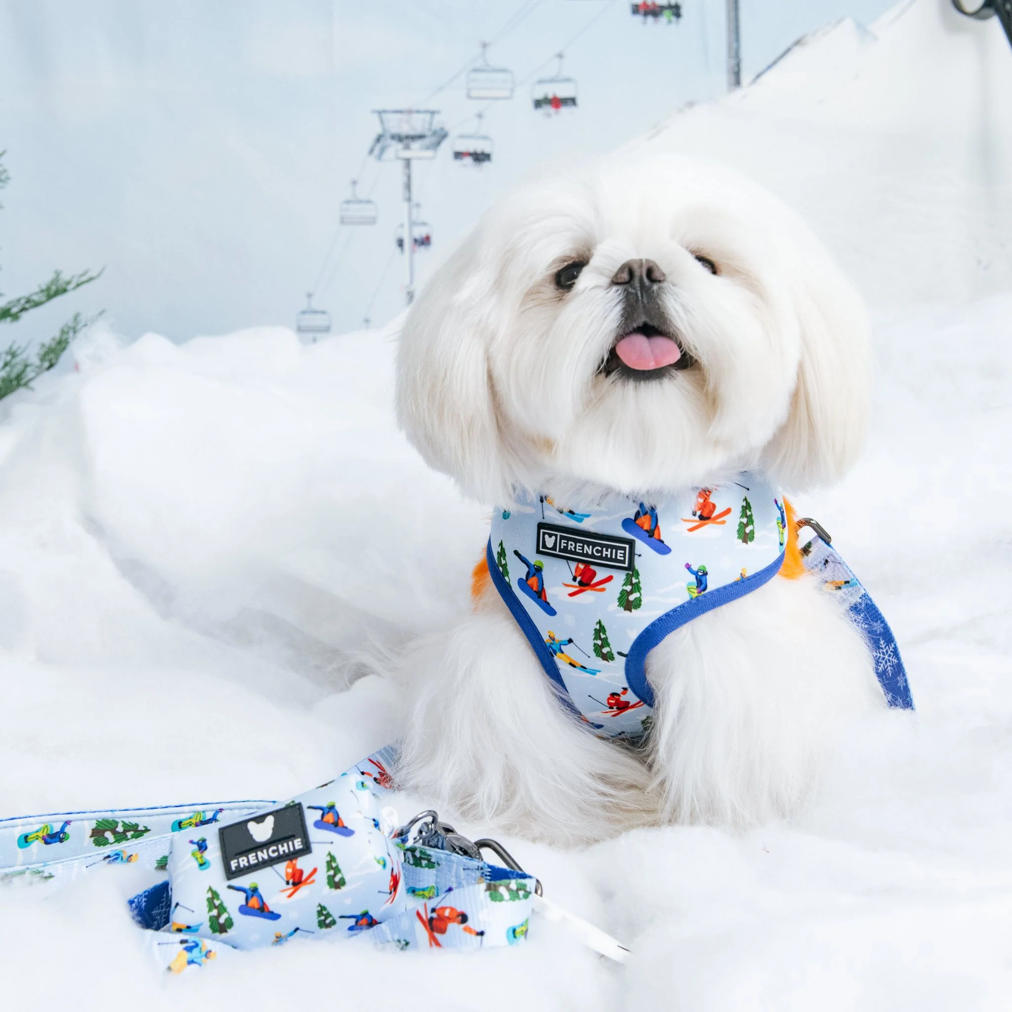 Frenchie Duo Reversible Harness - Ski Club - Image 7