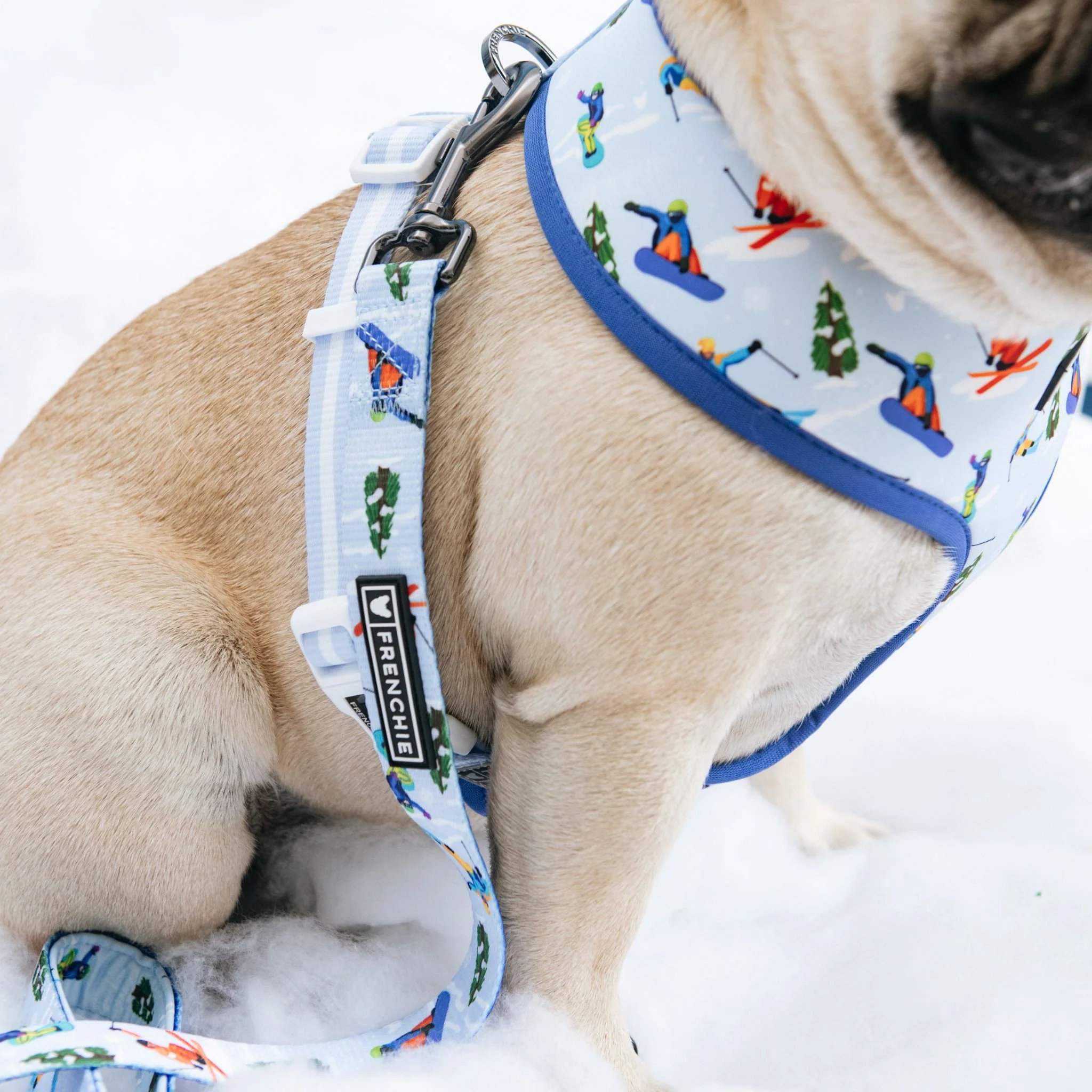 Frenchie Duo Reversible Harness - Ski Club - Image 8