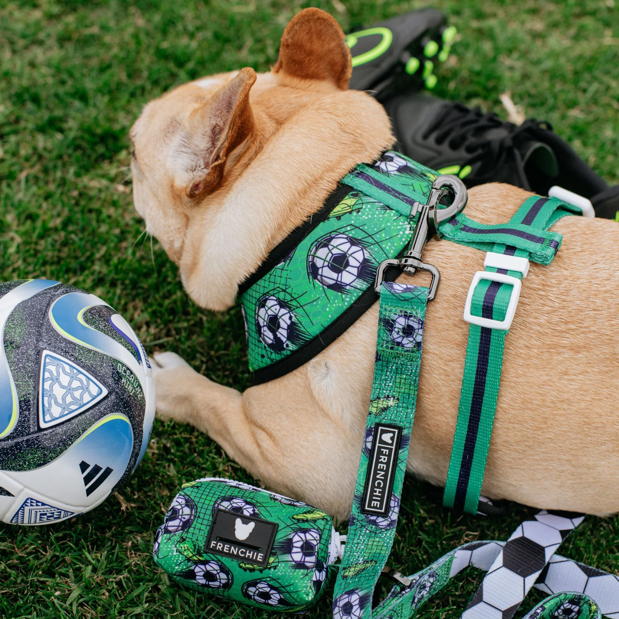 Frenchie Duo Reversible Harness - Soccer - Image 6