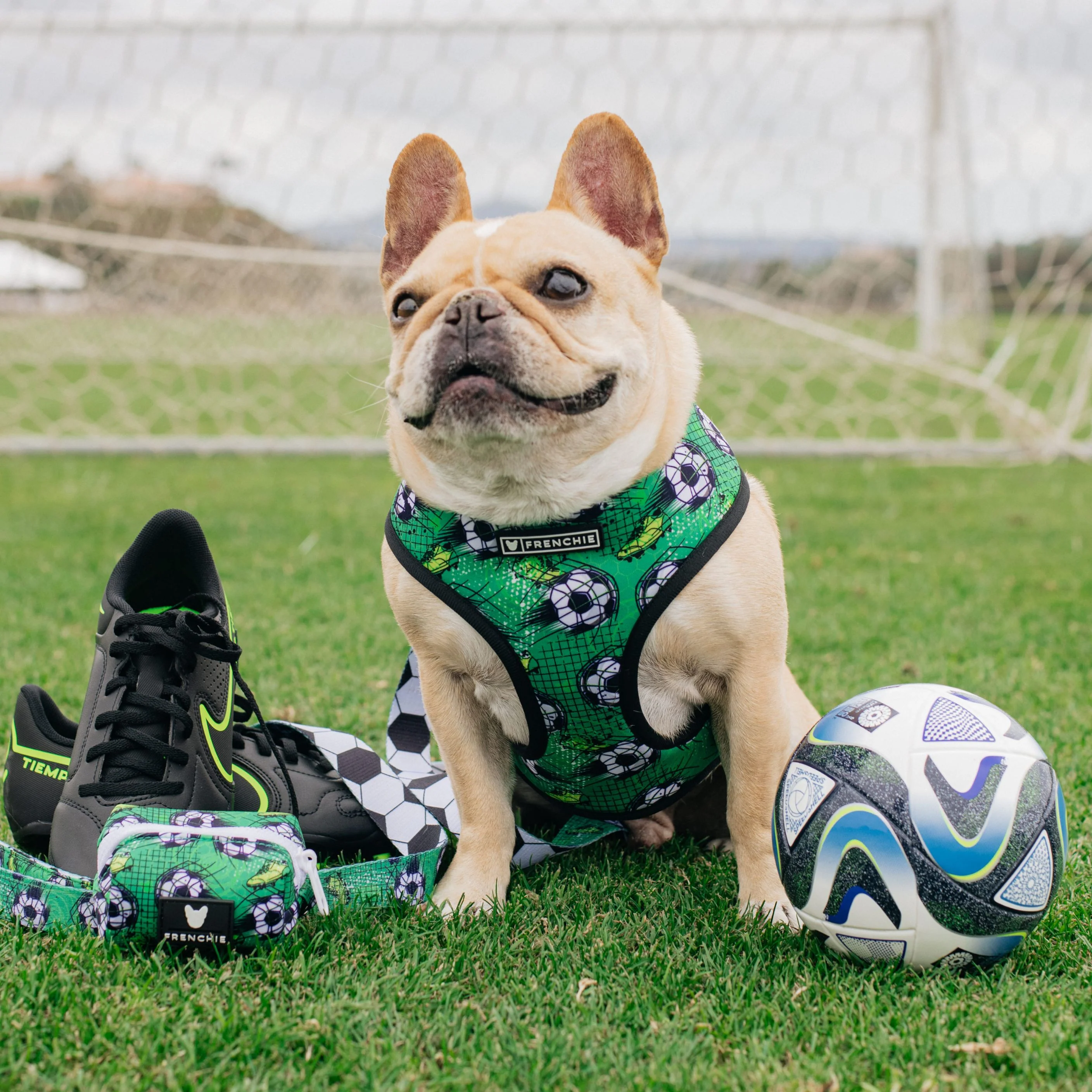 Frenchie Duo Reversible Harness - Soccer - Image 7