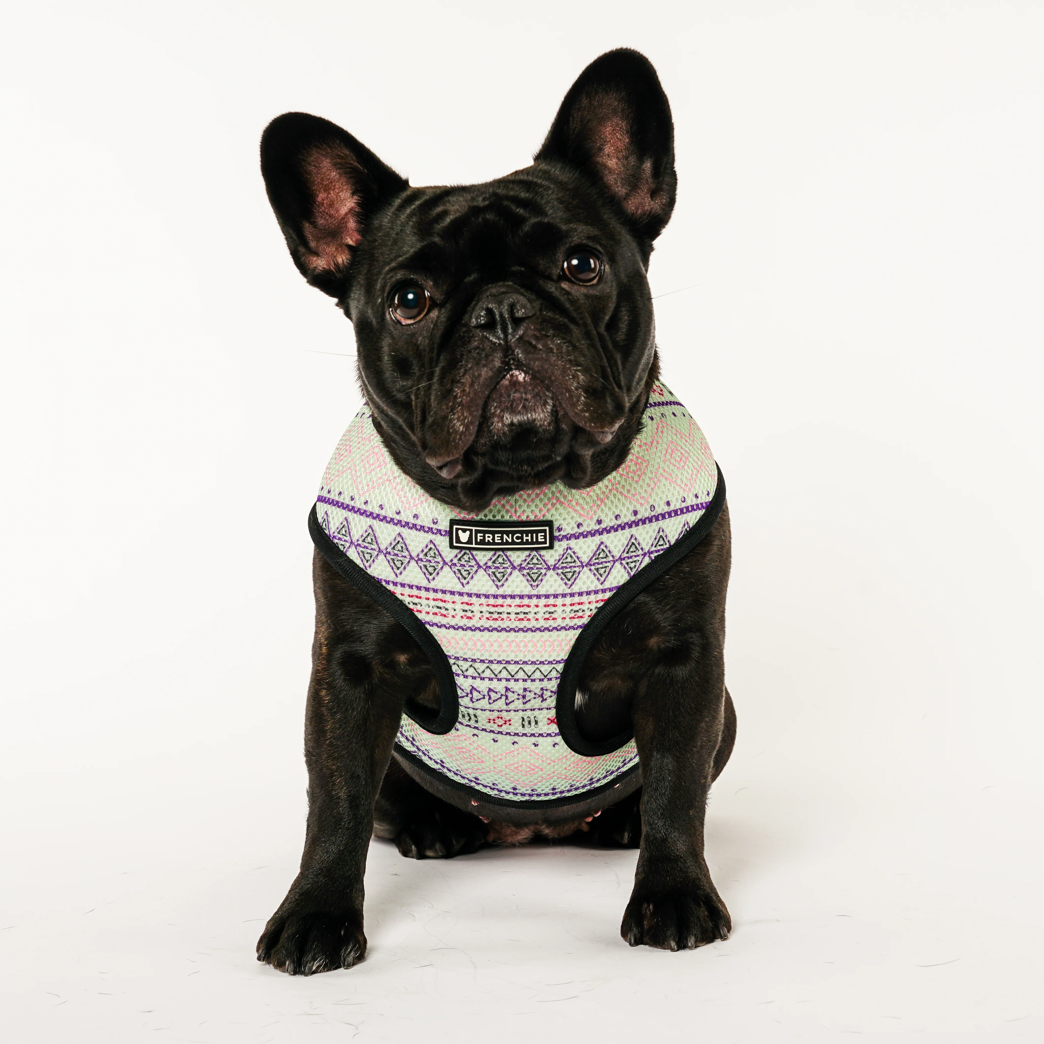 Frenchie Duo Reversible Harness - Southwest Dusk - Image 3