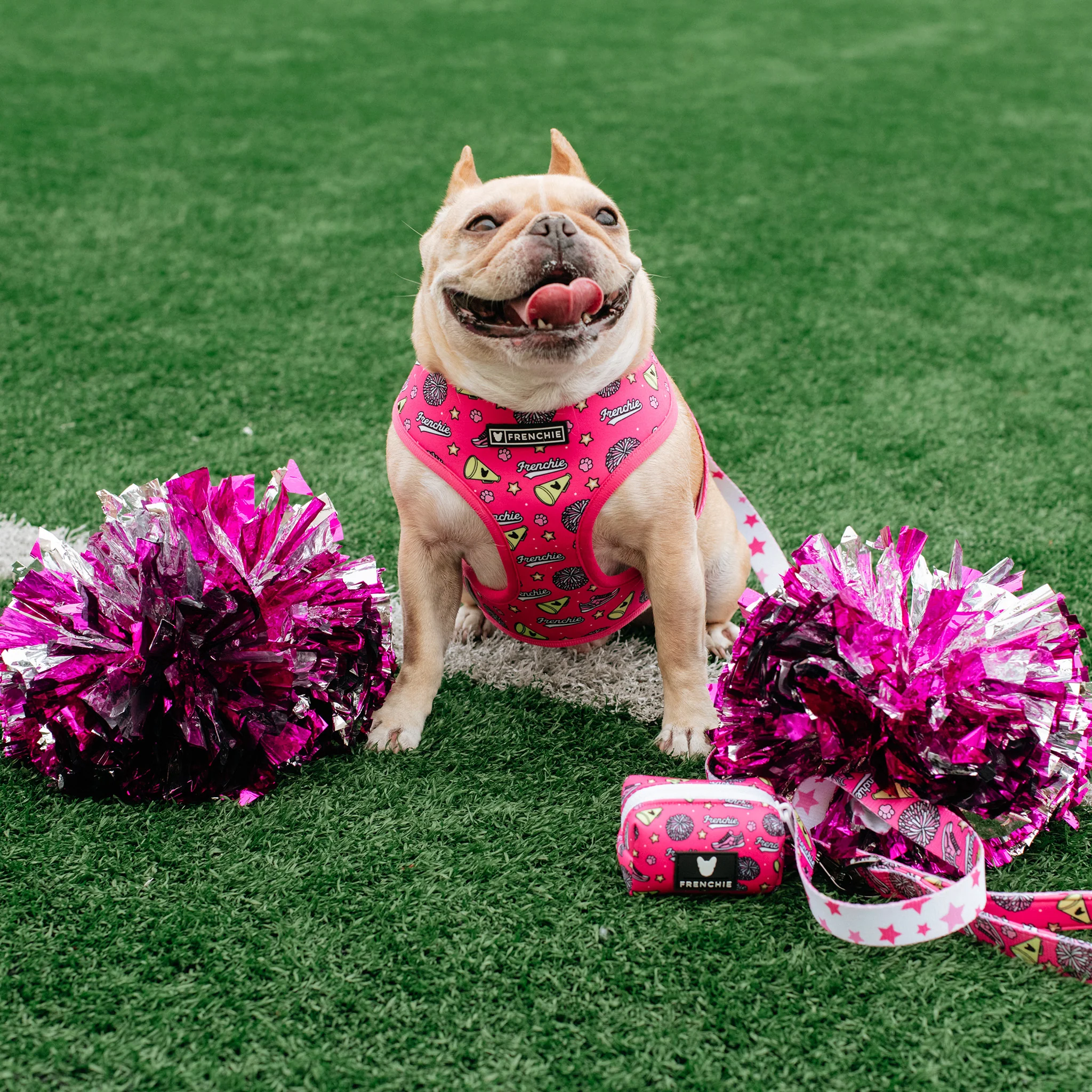 Frenchie Duo Reversible Harness - Spirit Paws - Image 2