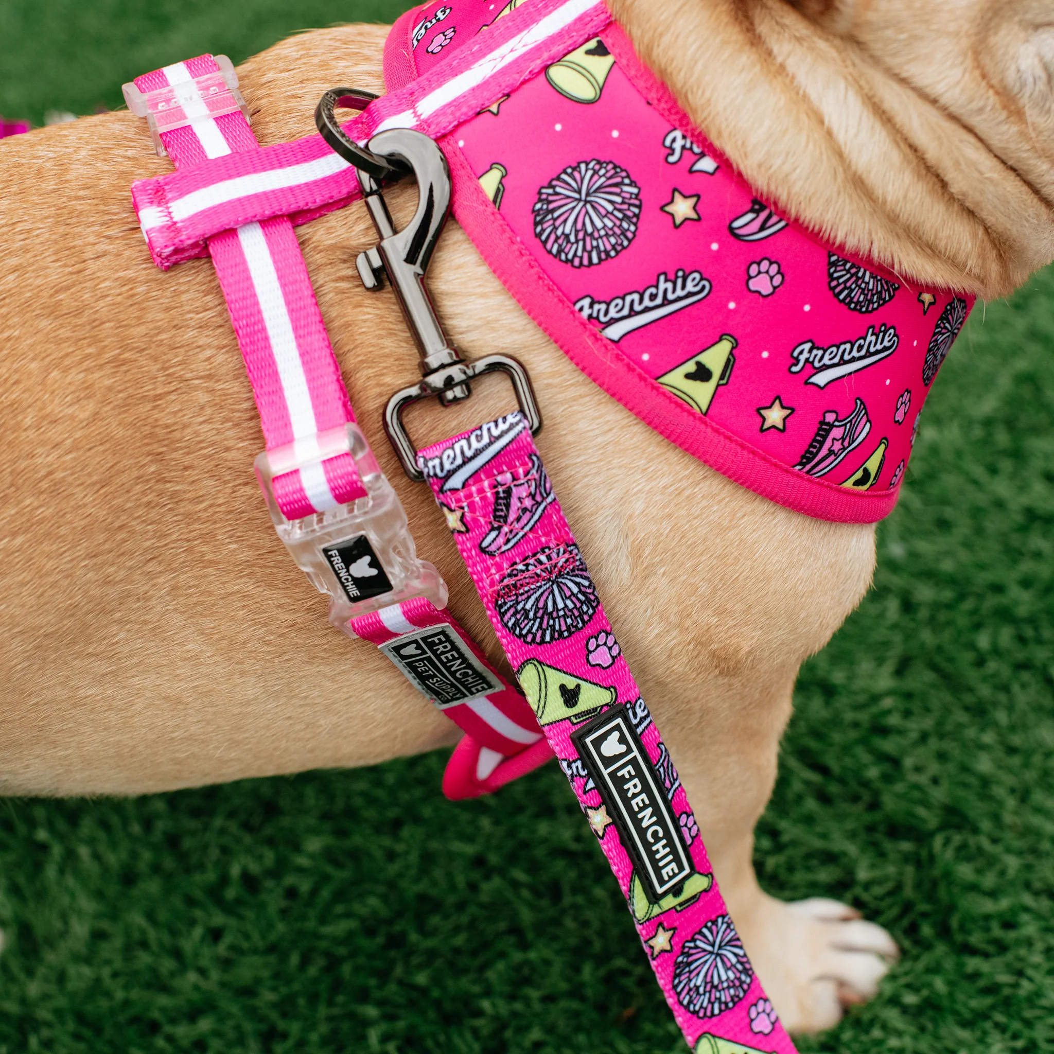 Frenchie Duo Reversible Harness - Spirit Paws - Image 3