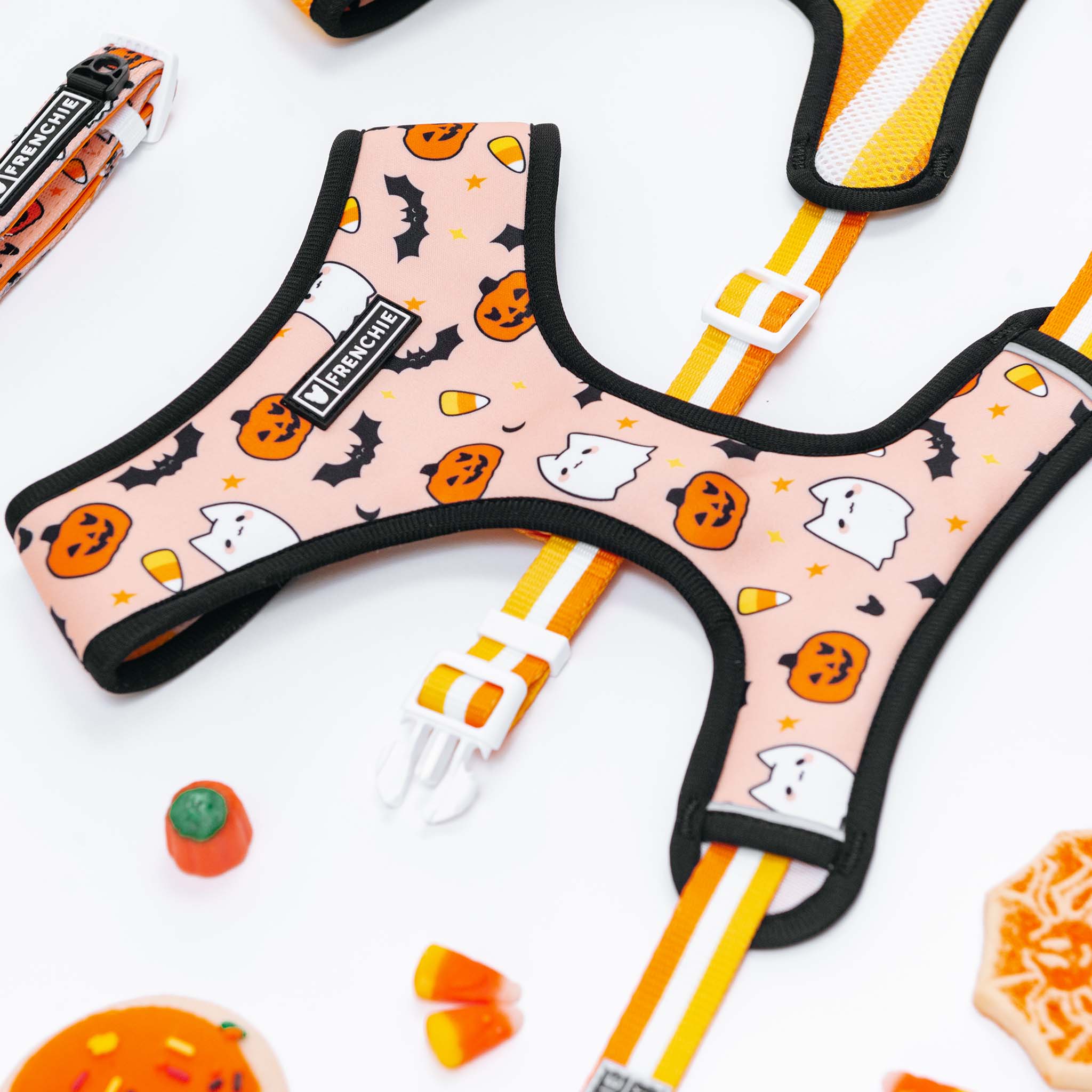 Frenchie Duo Reversible Harness - Spooky - Image 5