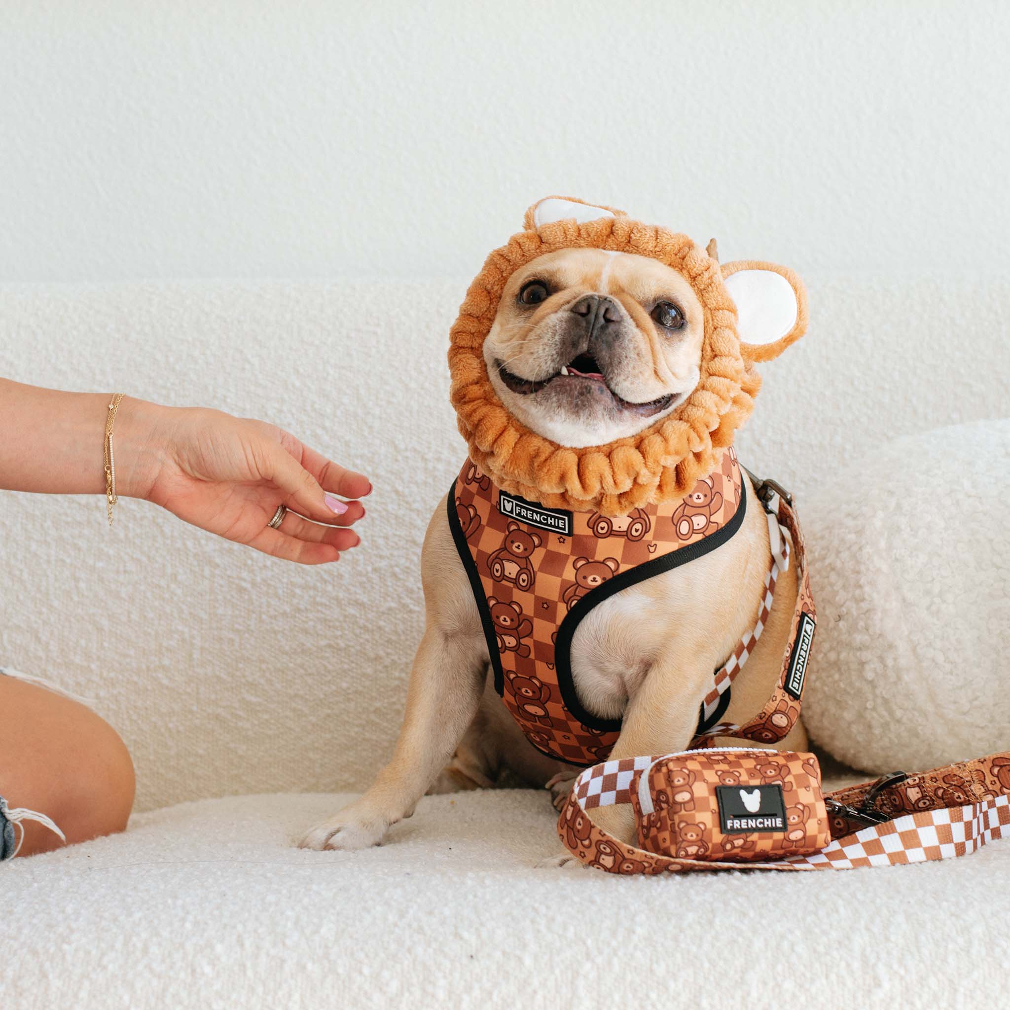 Frenchie Duo Reversible Harness - Teddy Bear - Image 4