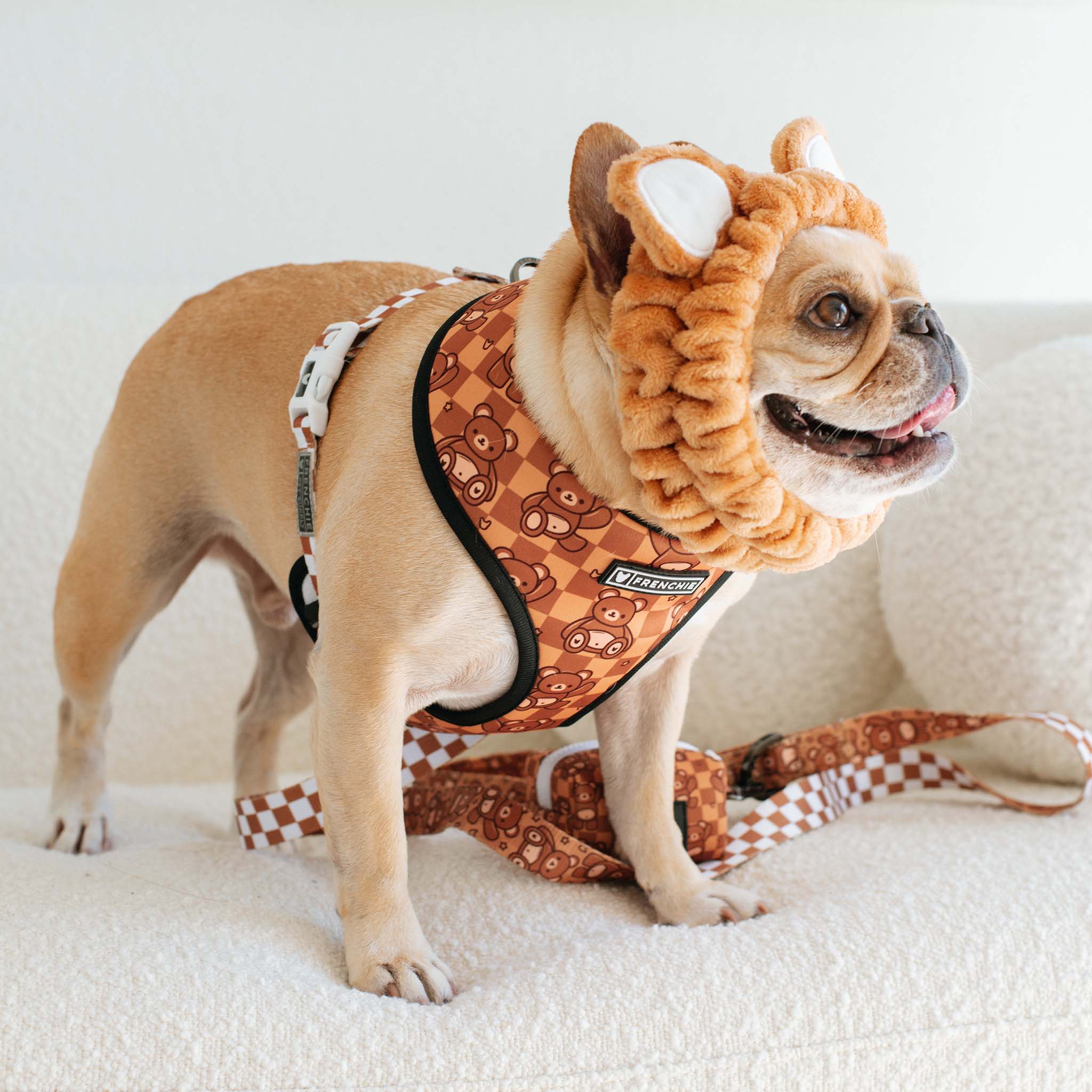 Frenchie Duo Reversible Harness - Teddy Bear - Image 5