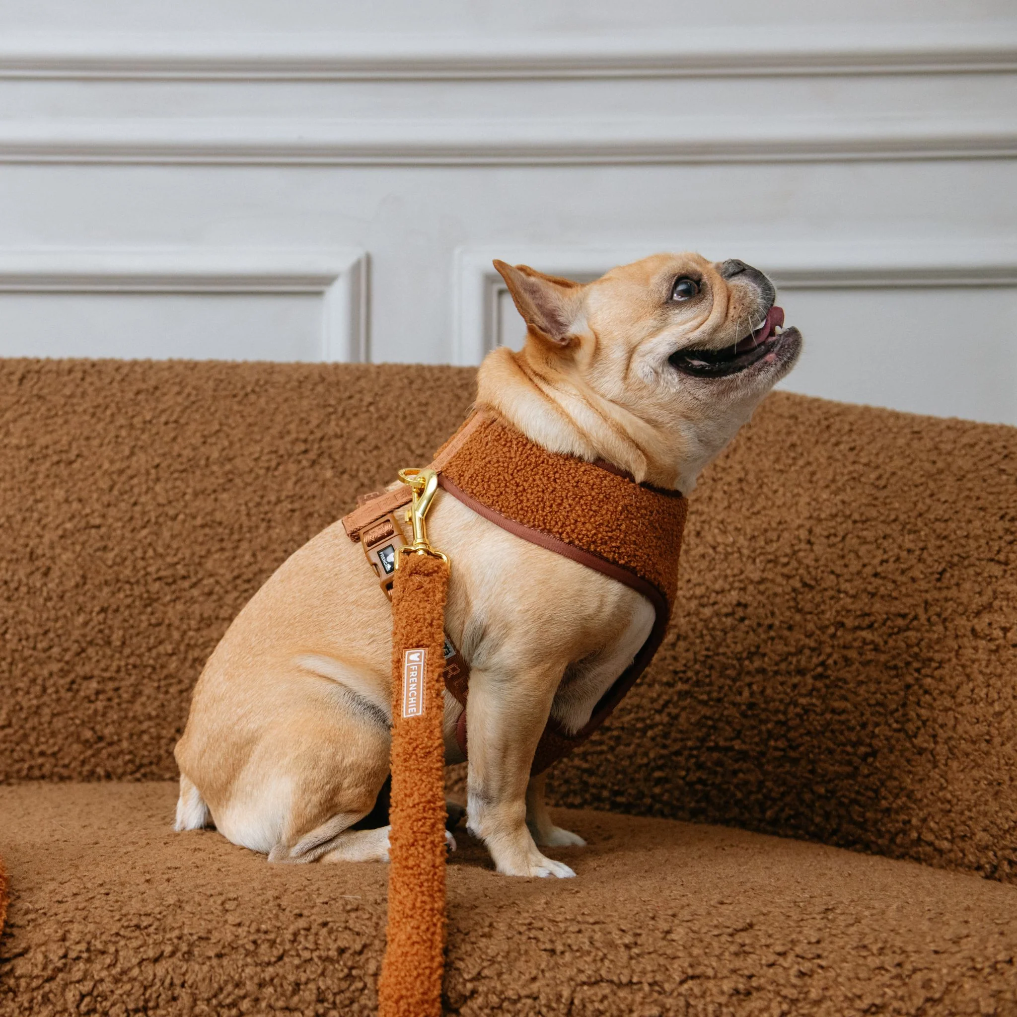Frenchie Duo Reversible Harness - Teddy Brown - Image 10