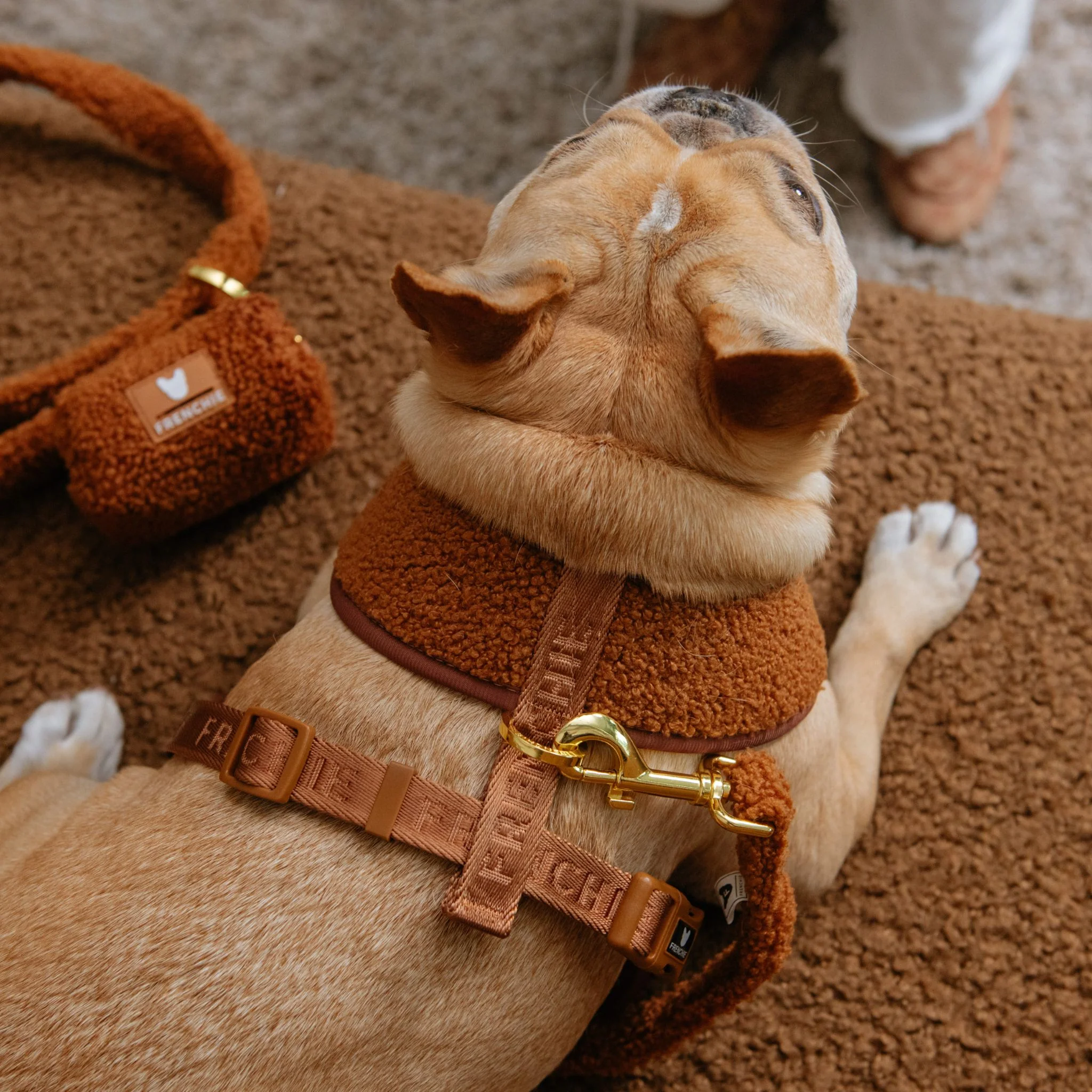 Frenchie Duo Reversible Harness - Teddy Brown - Image 12