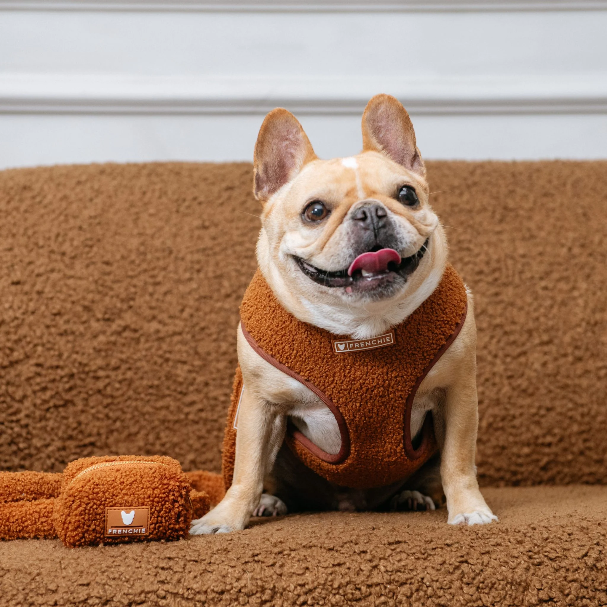 Frenchie Duo Reversible Harness - Teddy Brown - Image 13