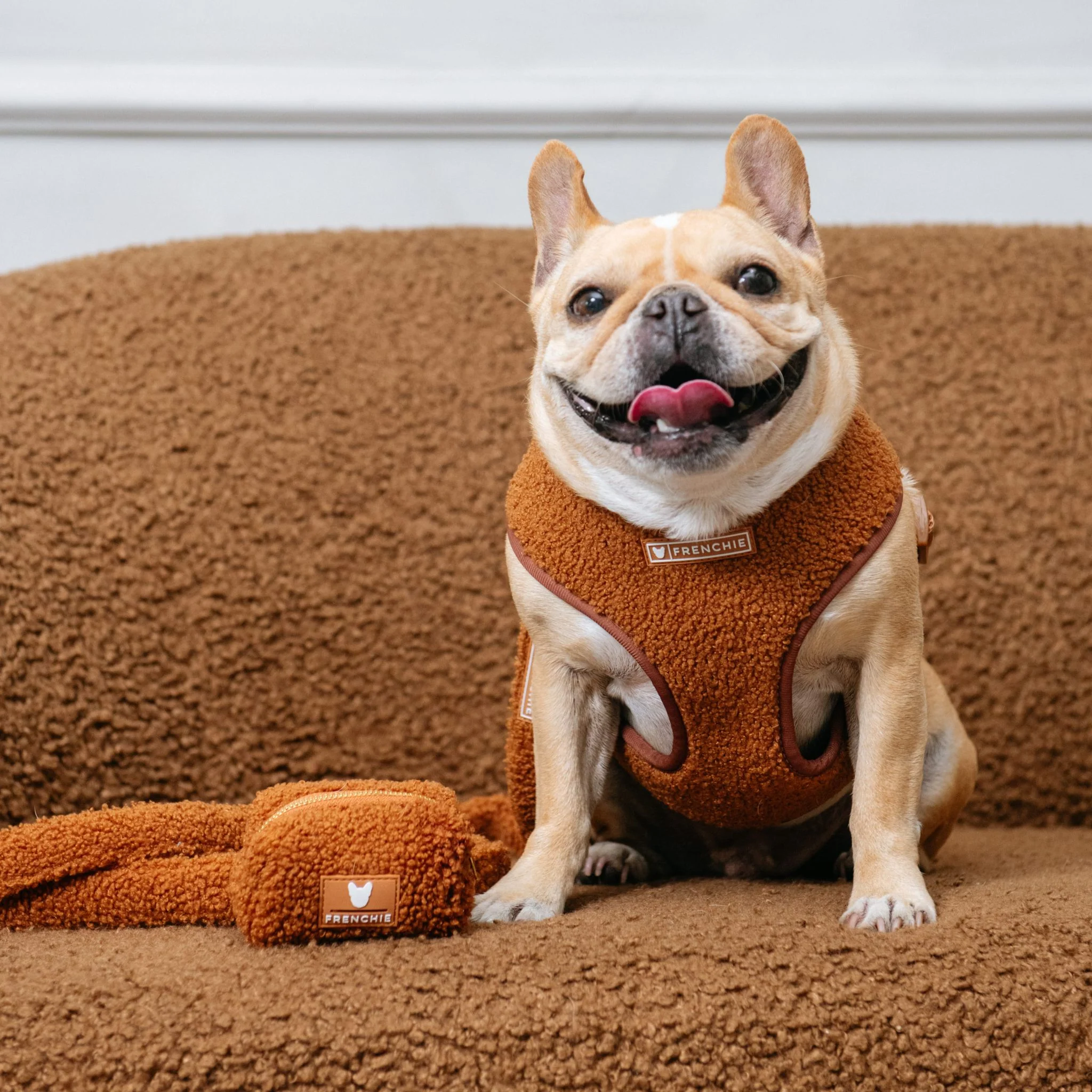 Frenchie Duo Reversible Harness - Teddy Brown - Image 2
