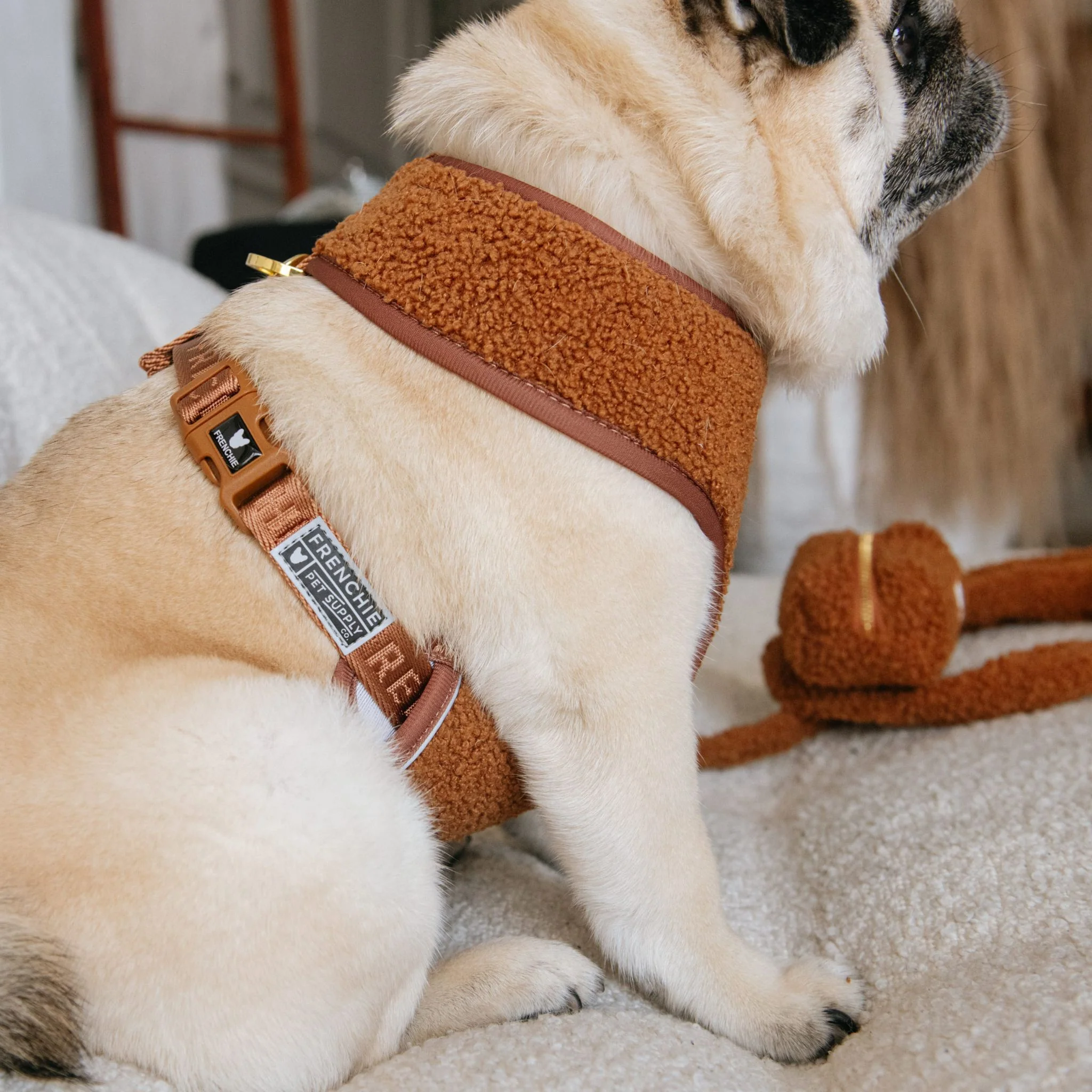 Frenchie Duo Reversible Harness - Teddy Brown - Image 3
