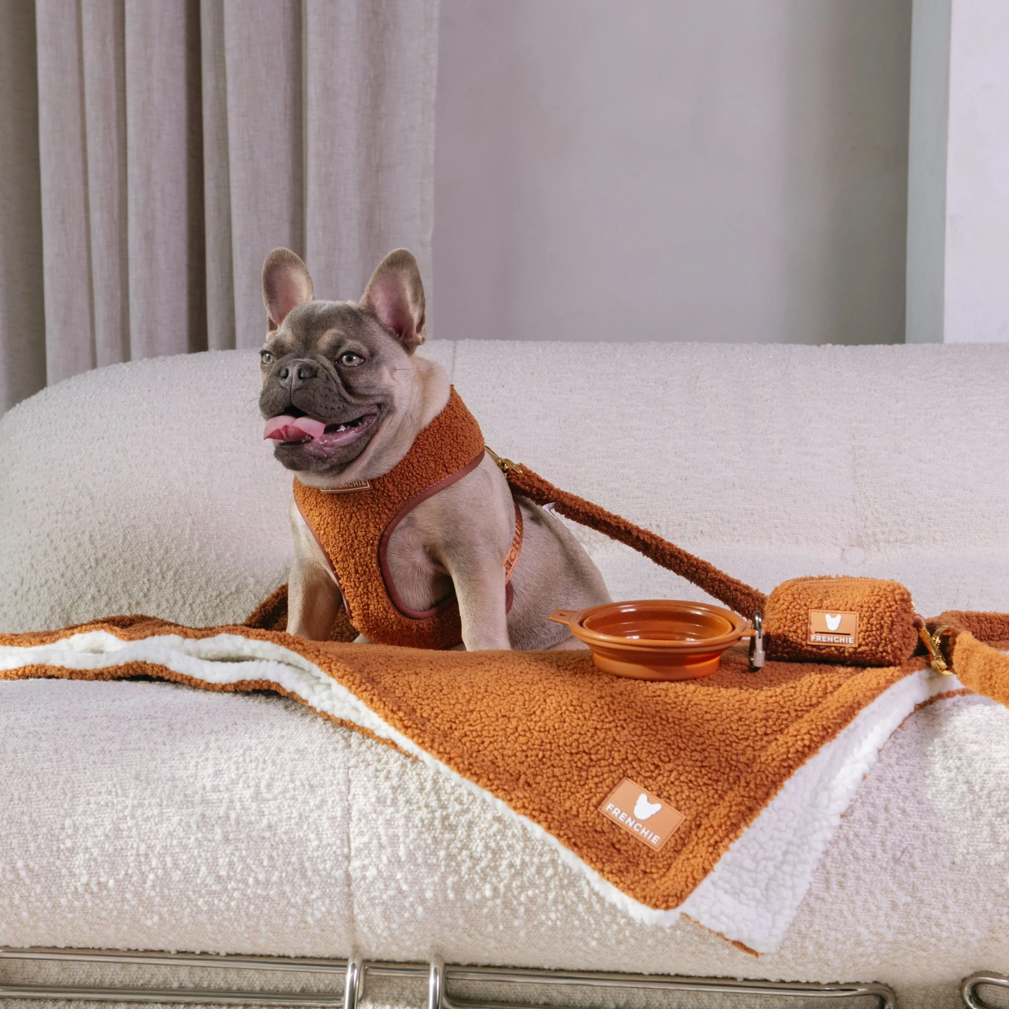 Frenchie Duo Reversible Harness - Teddy Brown - Image 4