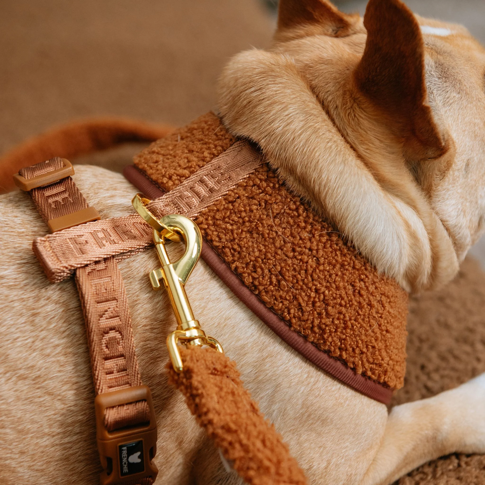 Frenchie Duo Reversible Harness - Teddy Brown - Image 5