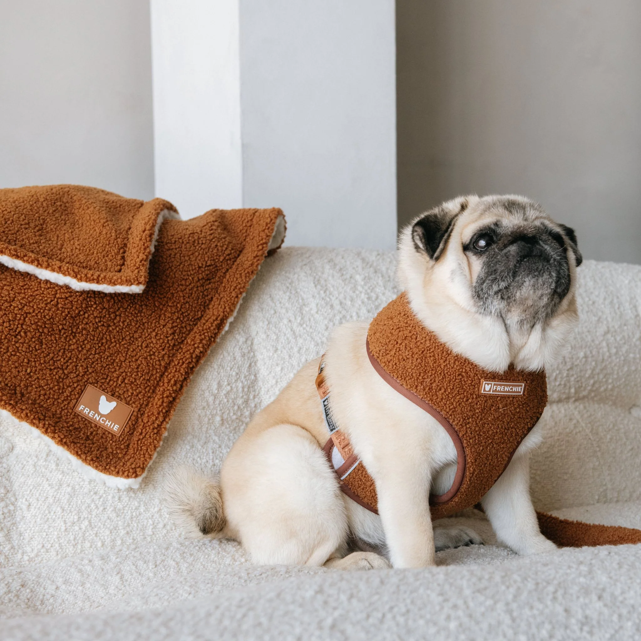 Frenchie Duo Reversible Harness - Teddy Brown - Image 6