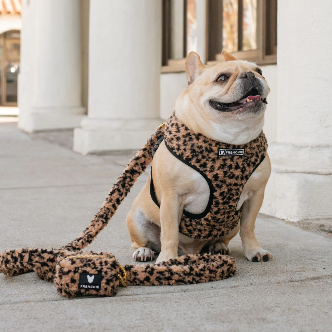 Frenchie Duo Reversible Harness - Teddy Leopard - Image 12
