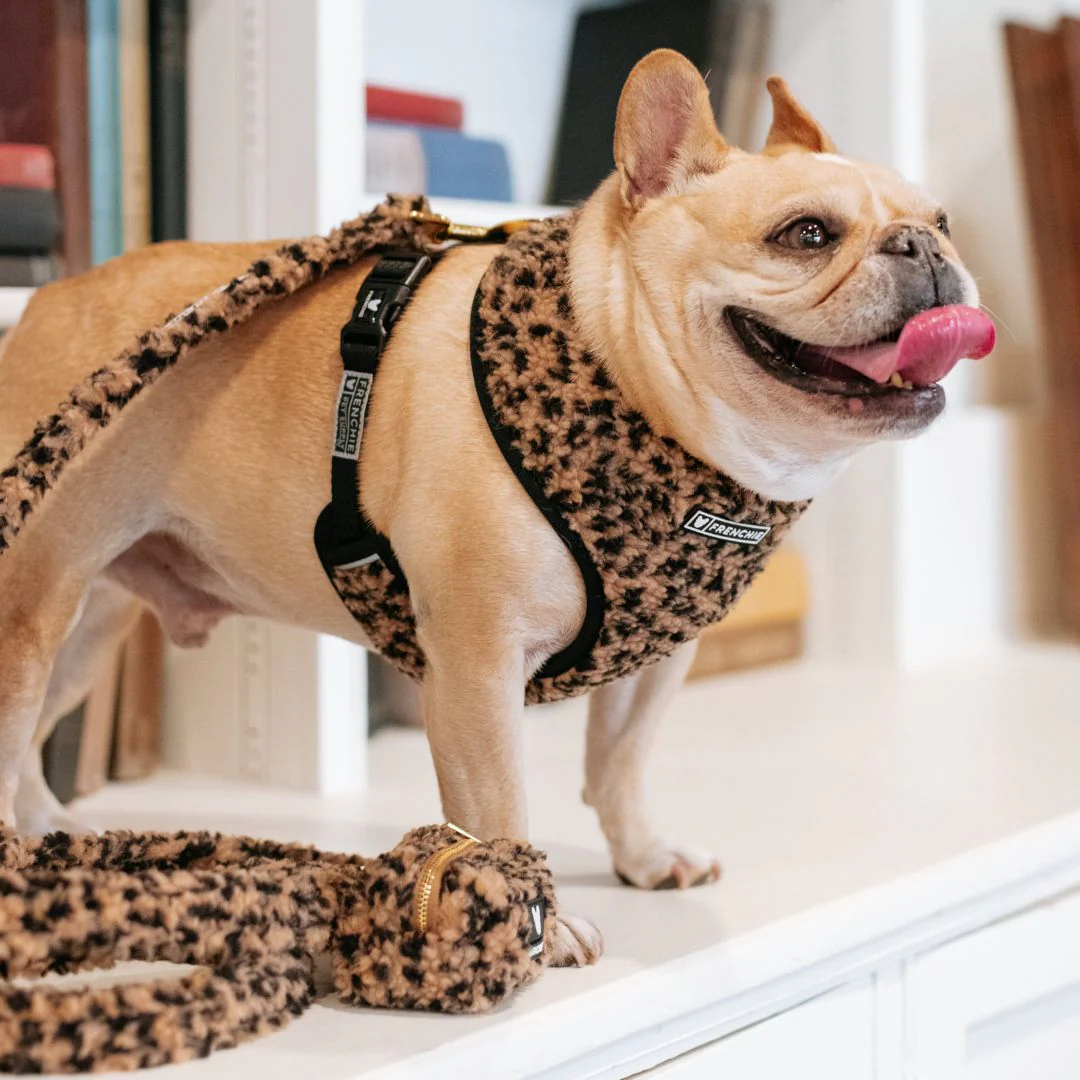 Frenchie Duo Reversible Harness - Teddy Leopard - Image 13