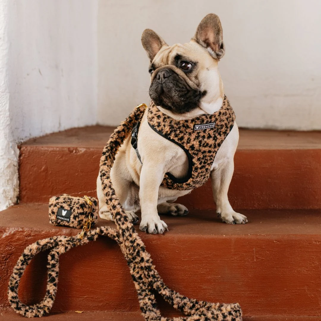 Frenchie Duo Reversible Harness - Teddy Leopard - Image 3