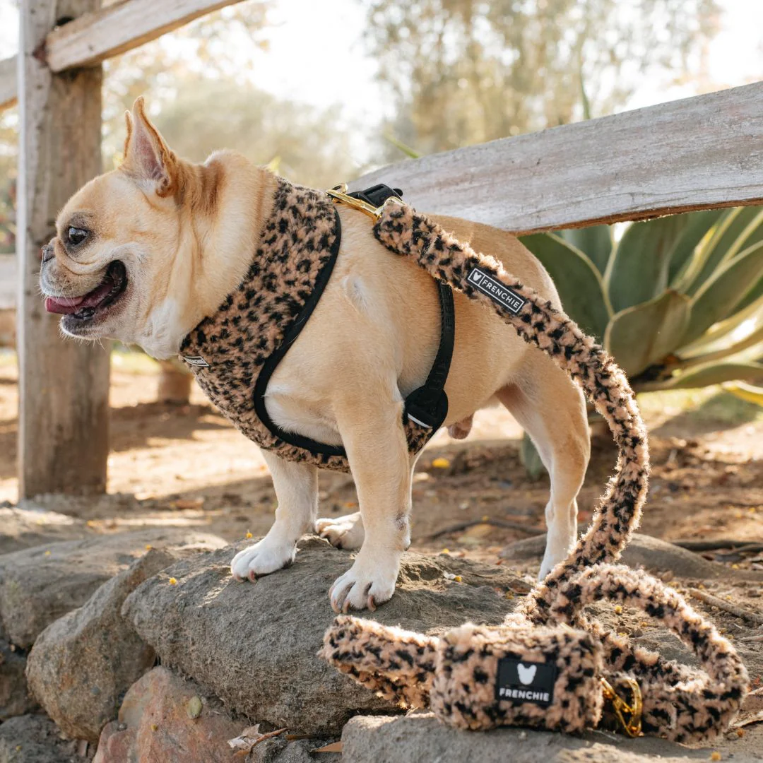 Frenchie Duo Reversible Harness - Teddy Leopard - Image 4