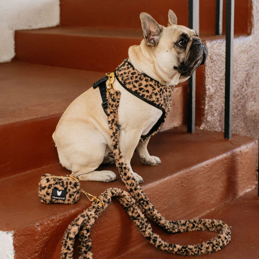 Frenchie Duo Reversible Harness - Teddy Leopard - Image 5