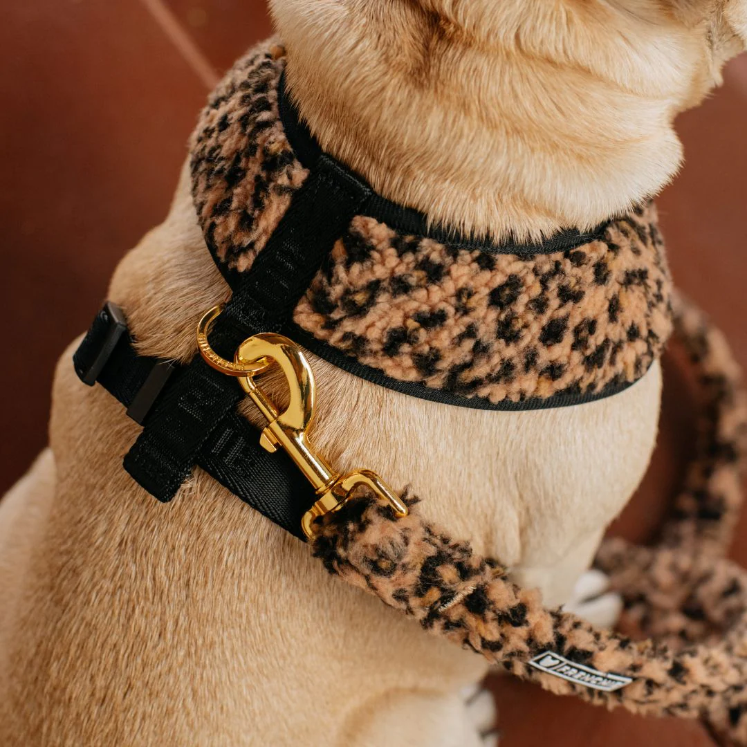 Frenchie Duo Reversible Harness - Teddy Leopard - Image 6