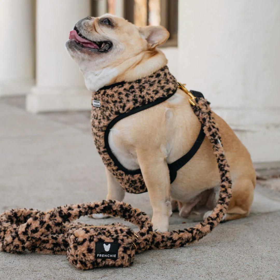 Frenchie Duo Reversible Harness - Teddy Leopard - Image 7