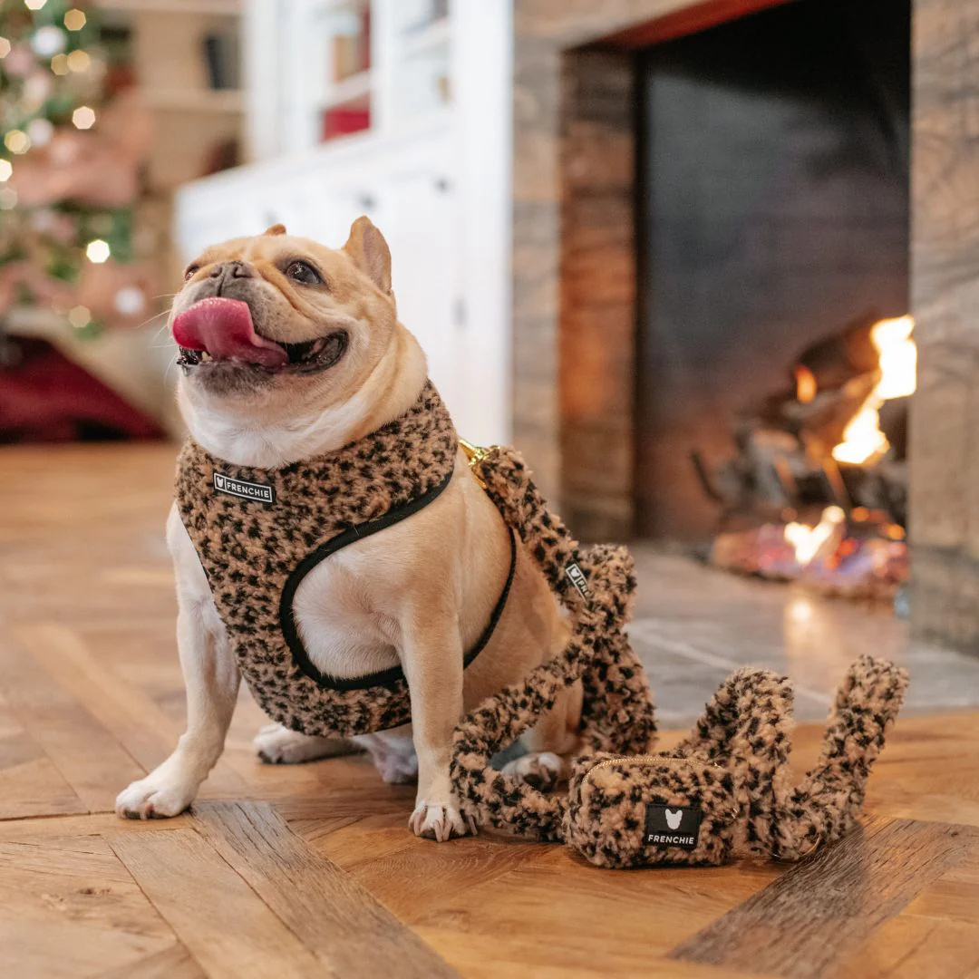 Frenchie Duo Reversible Harness - Teddy Leopard - Image 8