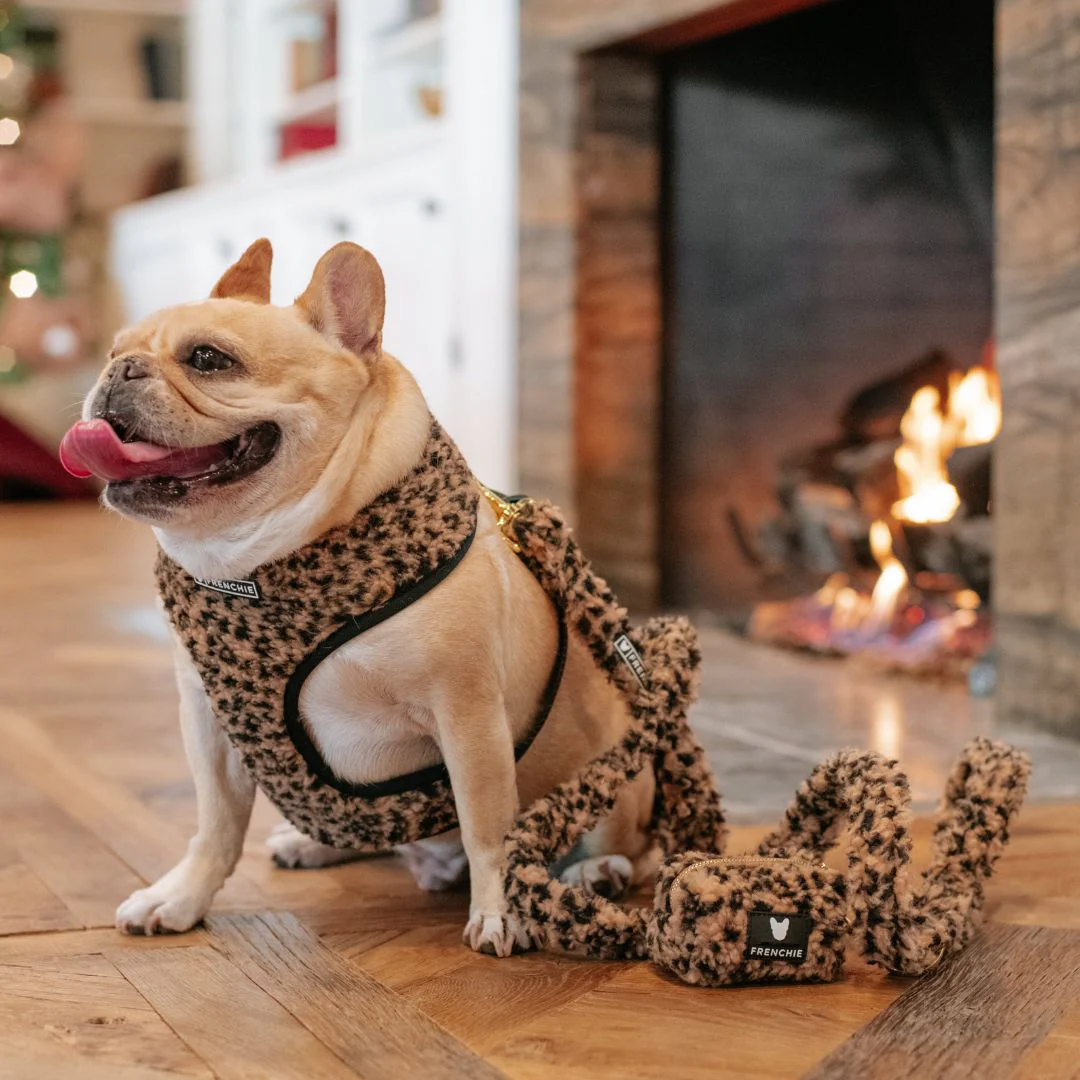 Frenchie Duo Reversible Harness - Teddy Leopard - Image 9