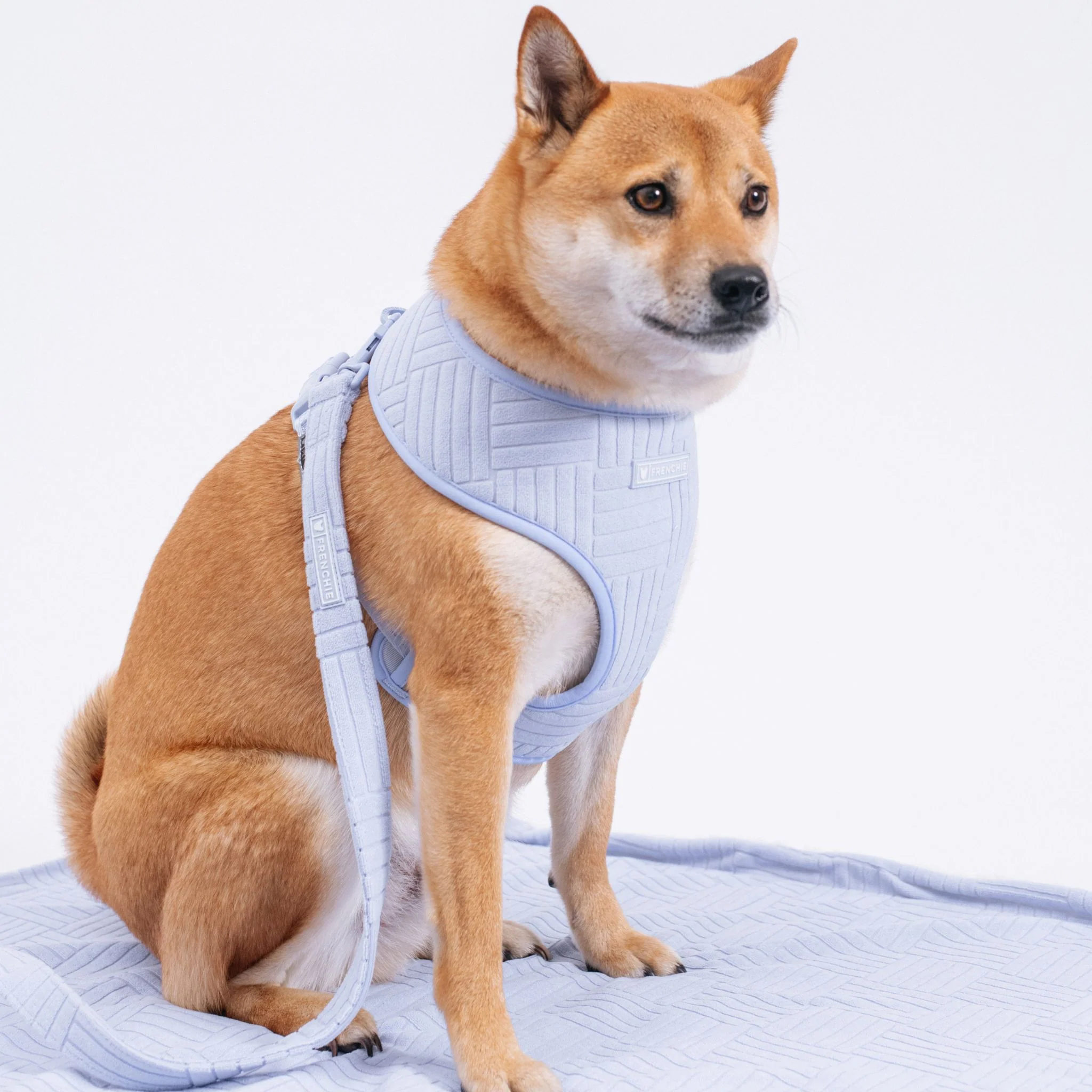 Frenchie Duo Reversible Harness - Terry (Blue) - Image 3