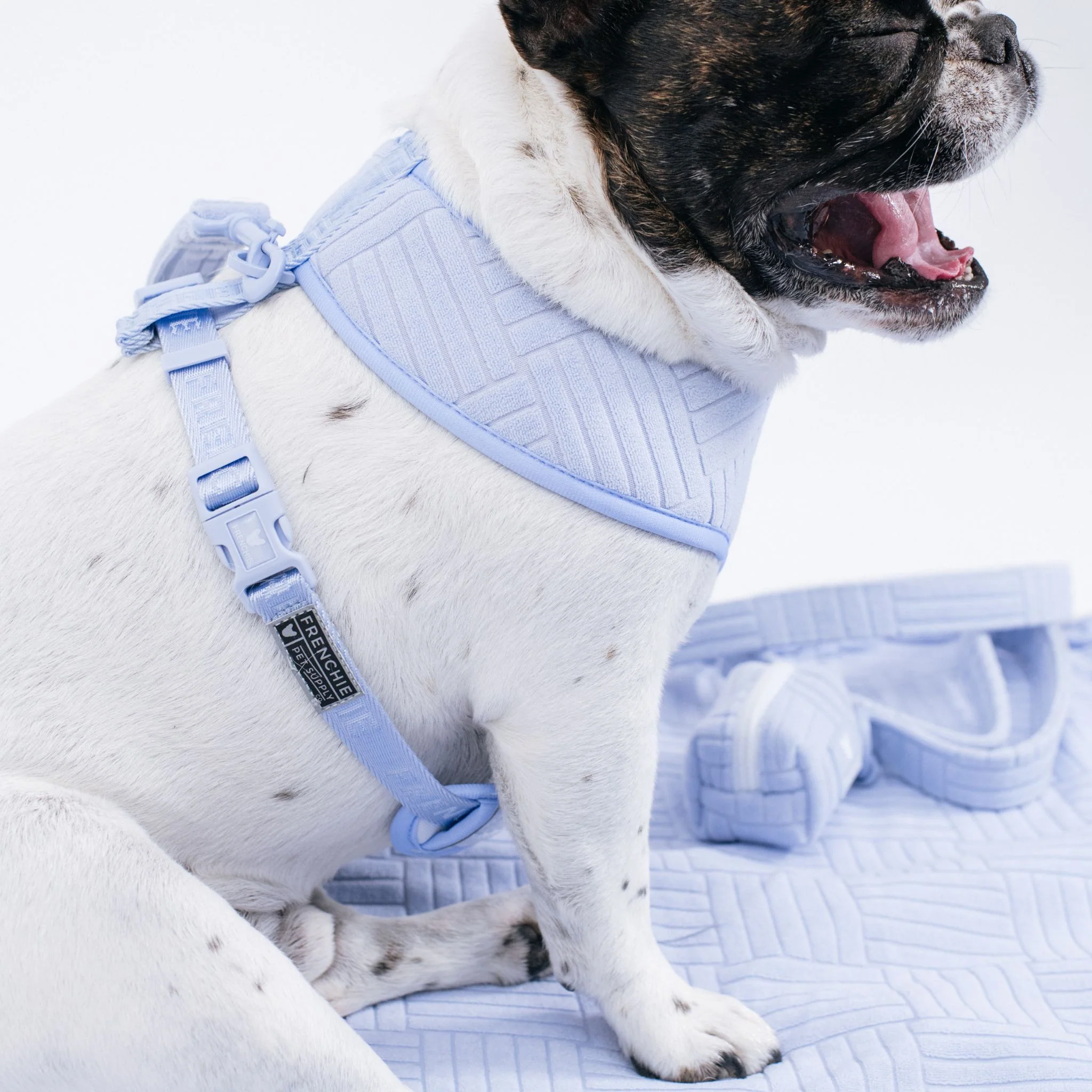 Frenchie Duo Reversible Harness - Terry (Blue) - Image 4