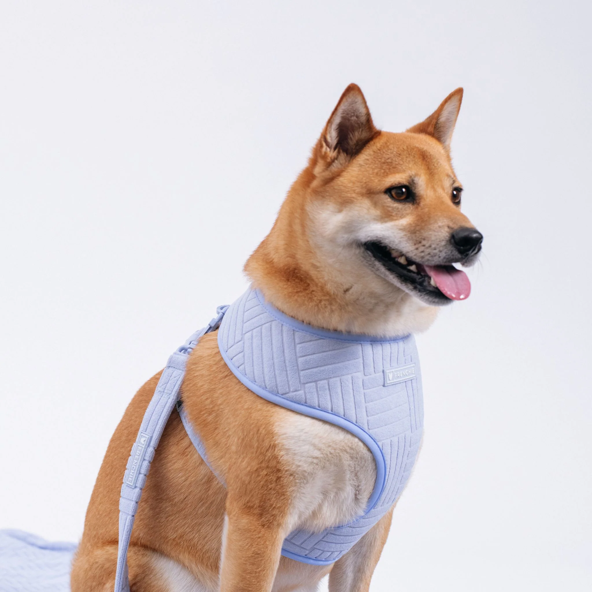 Frenchie Duo Reversible Harness - Terry (Blue) - Image 7
