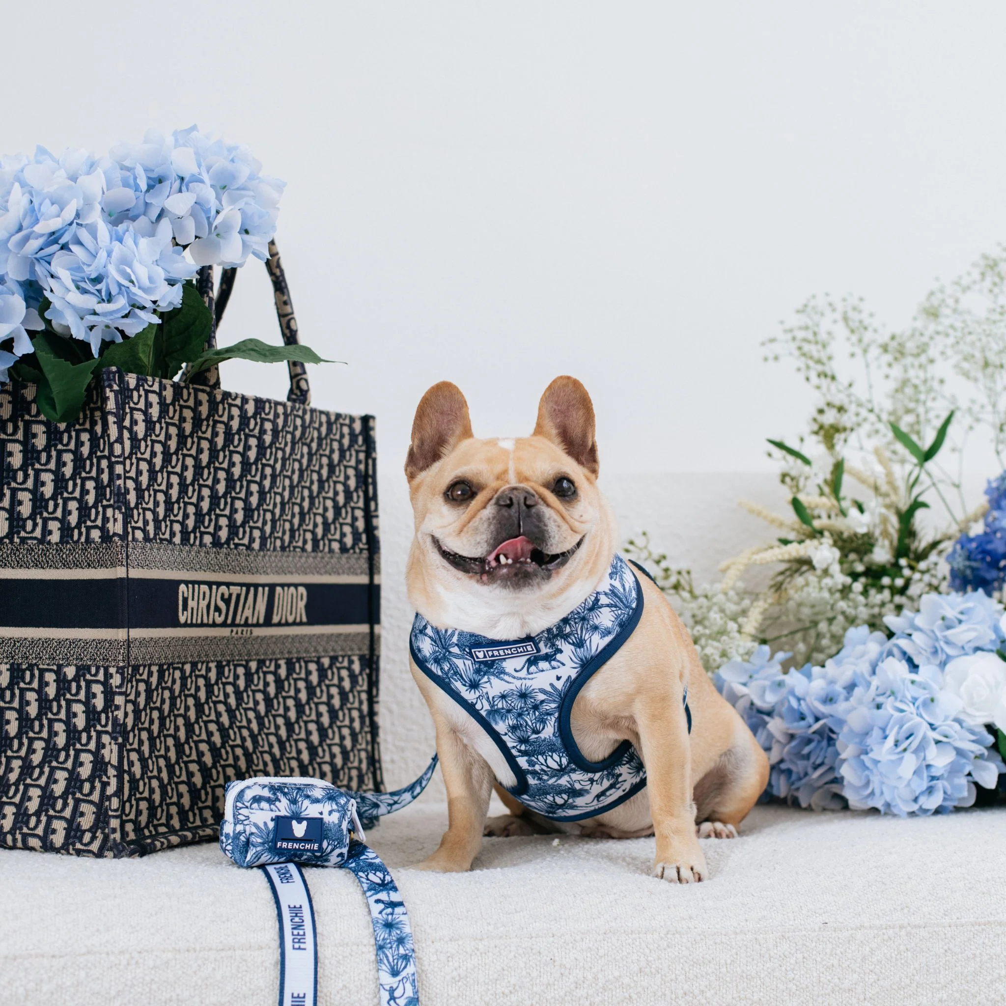 Frenchie Duo Reversible Harness - Toile (Blue) - Image 2