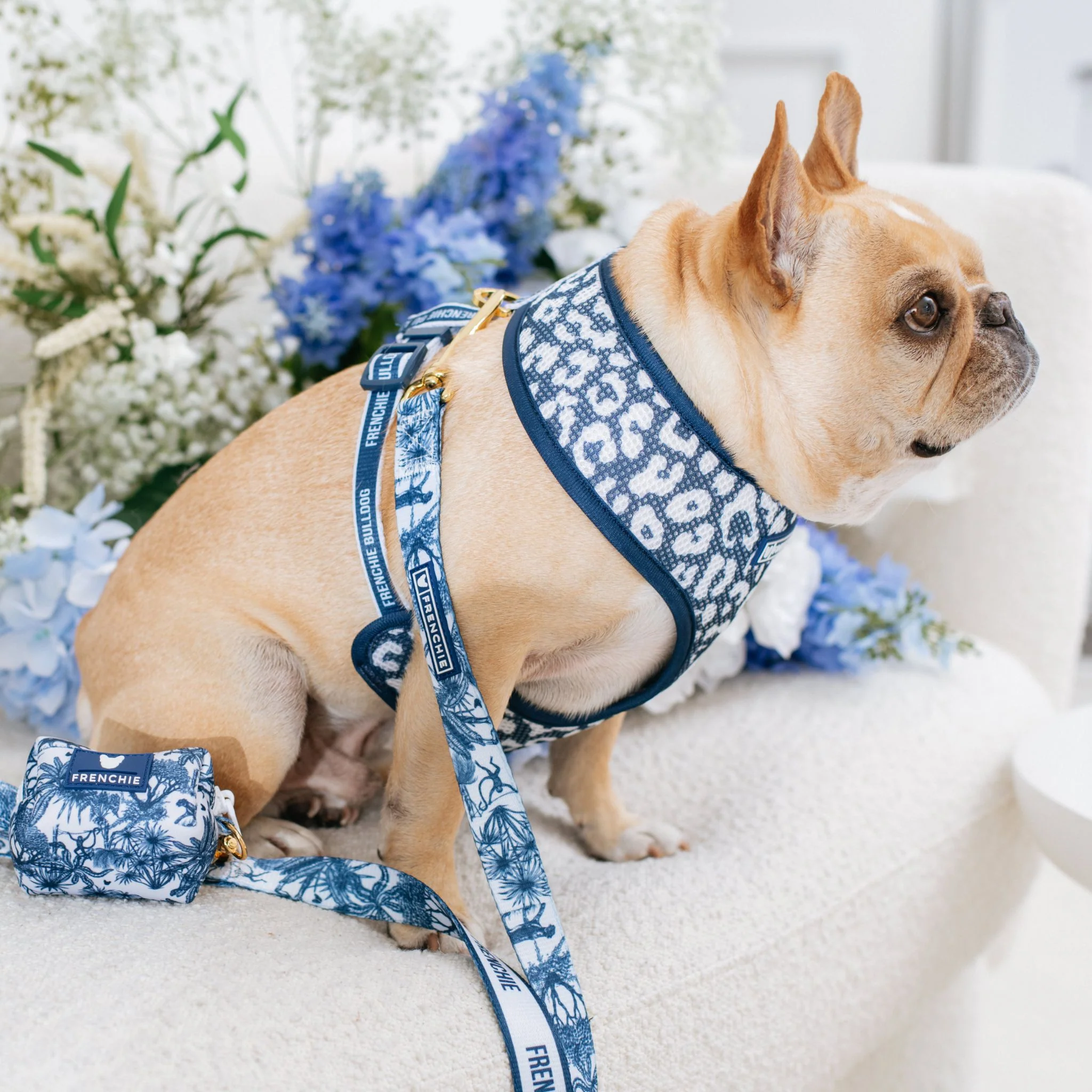 Frenchie Duo Reversible Harness - Toile (Blue) - Image 5