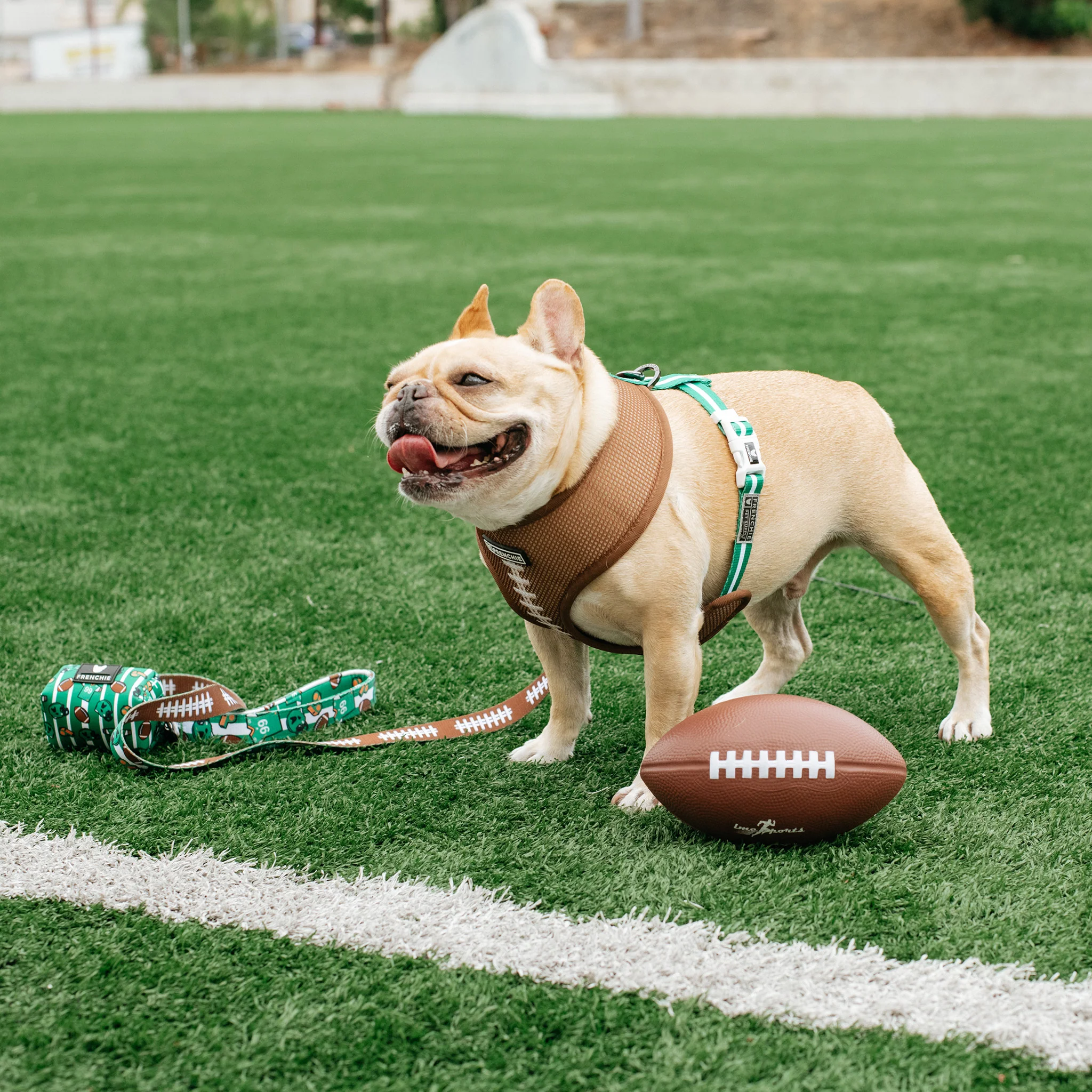 Frenchie Duo Reversible Harness - Touchdown - Image 10