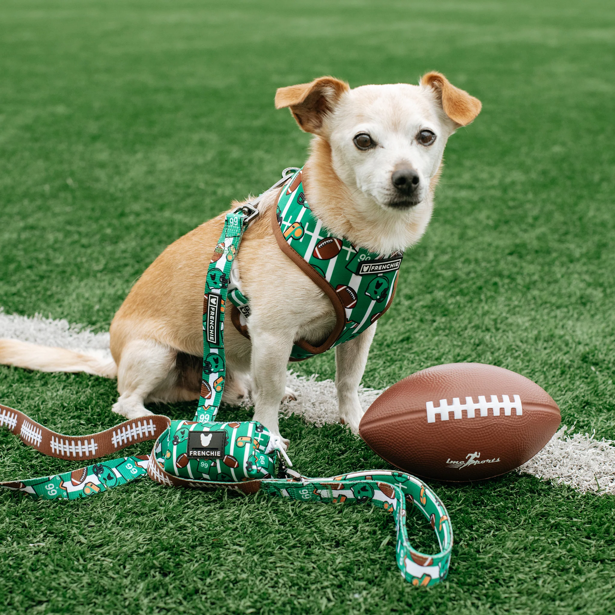 Frenchie Duo Reversible Harness - Touchdown - Image 2