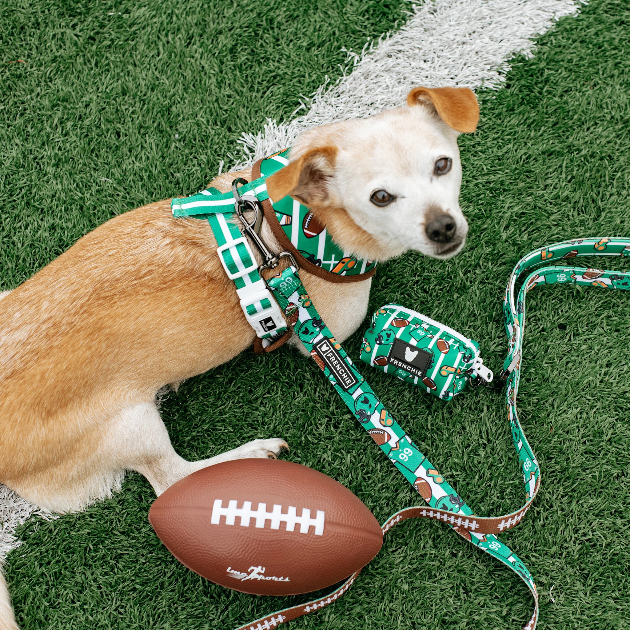 Frenchie Duo Reversible Harness - Touchdown - Image 3
