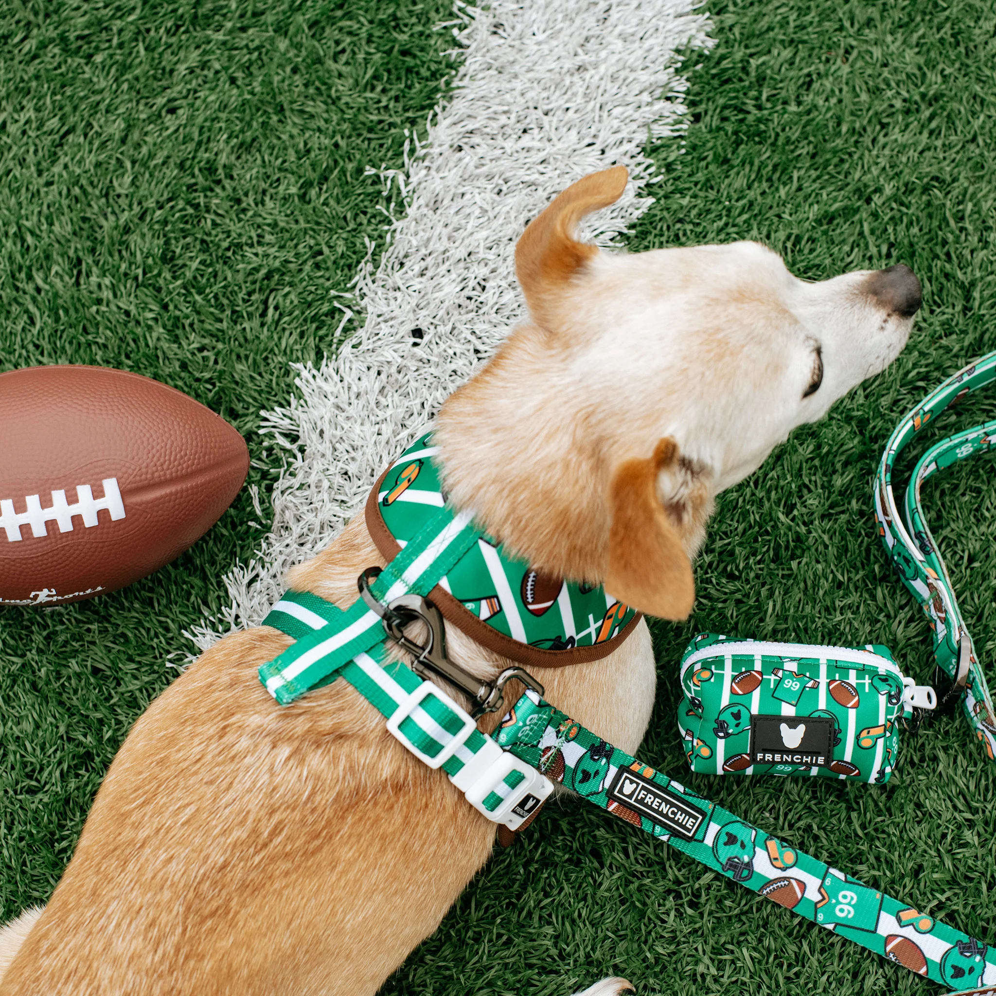 Frenchie Duo Reversible Harness - Touchdown - Image 4