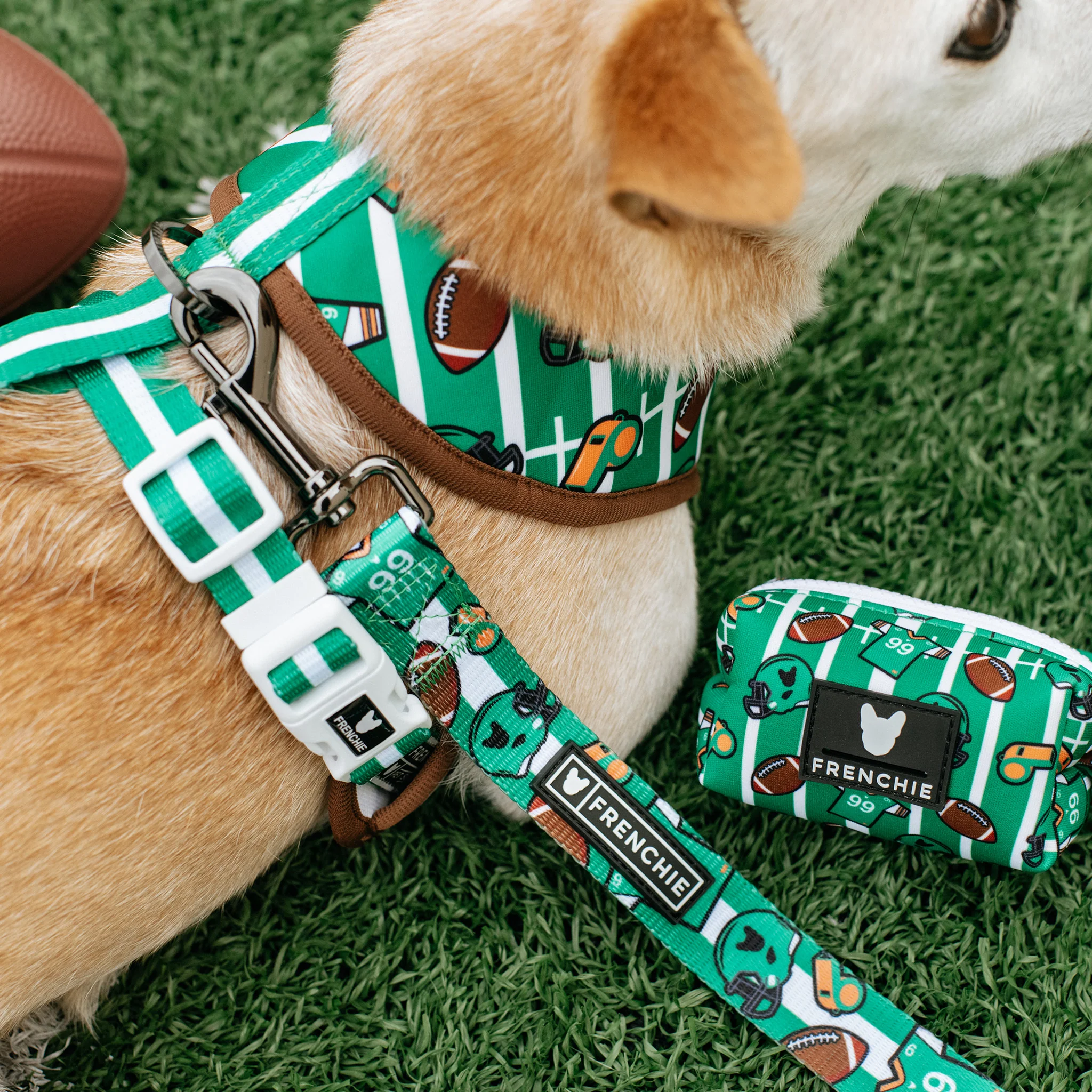 Frenchie Duo Reversible Harness - Touchdown - Image 5