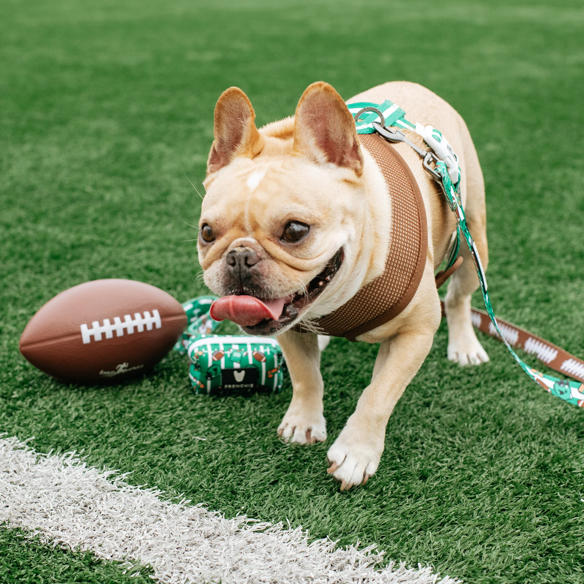 Frenchie Duo Reversible Harness - Touchdown - Image 6