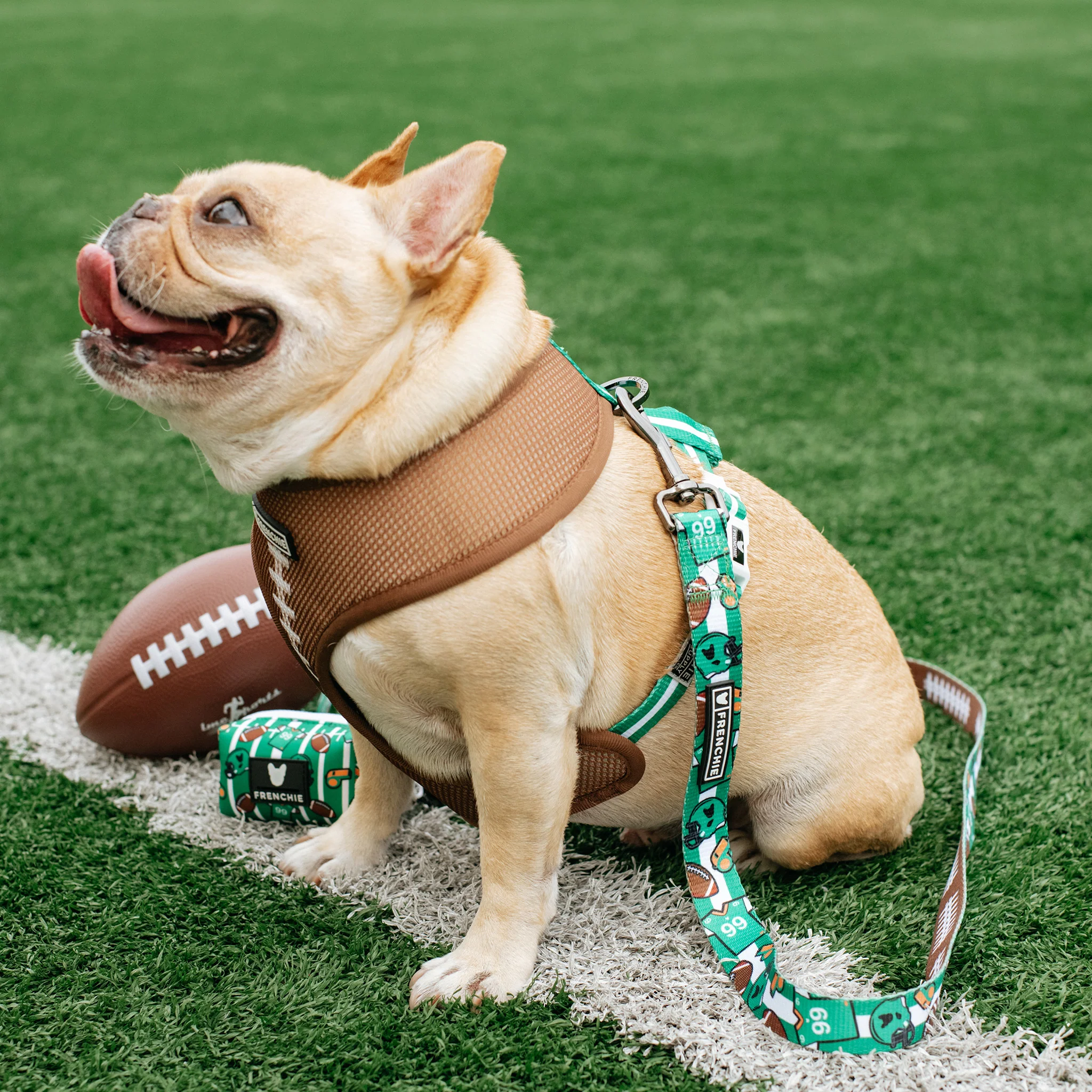 Frenchie Duo Reversible Harness - Touchdown - Image 7