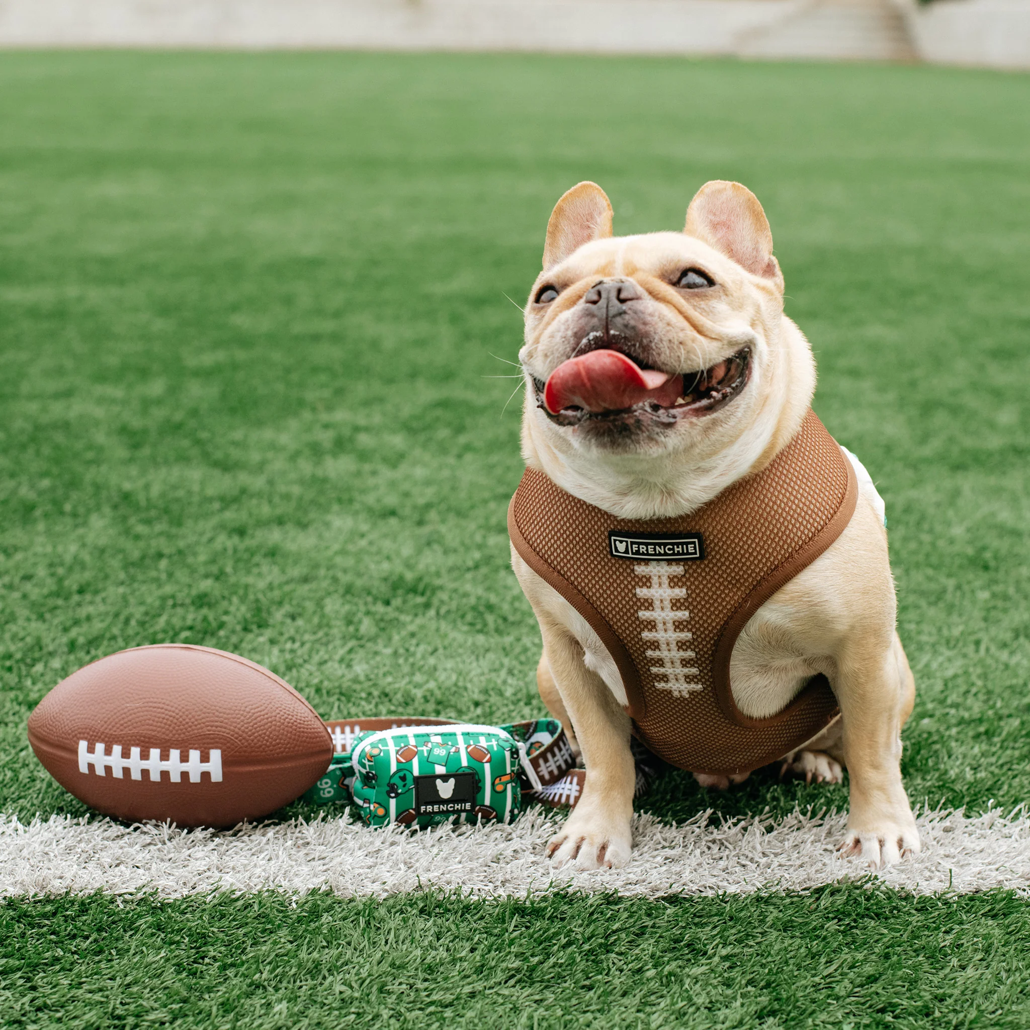 Frenchie Duo Reversible Harness - Touchdown - Image 9