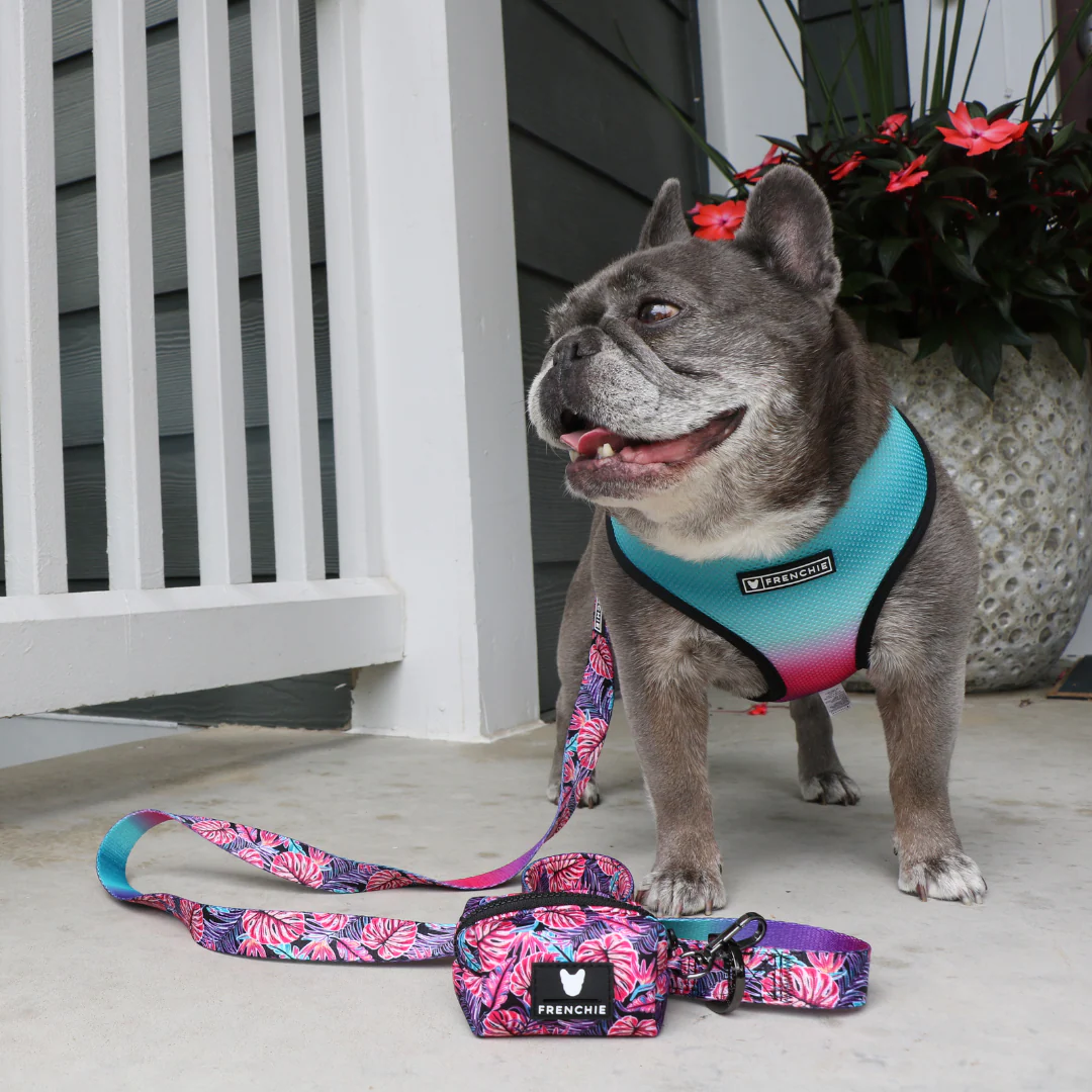 Frenchie Duo Reversible Harness - Tropical Palms - Image 11