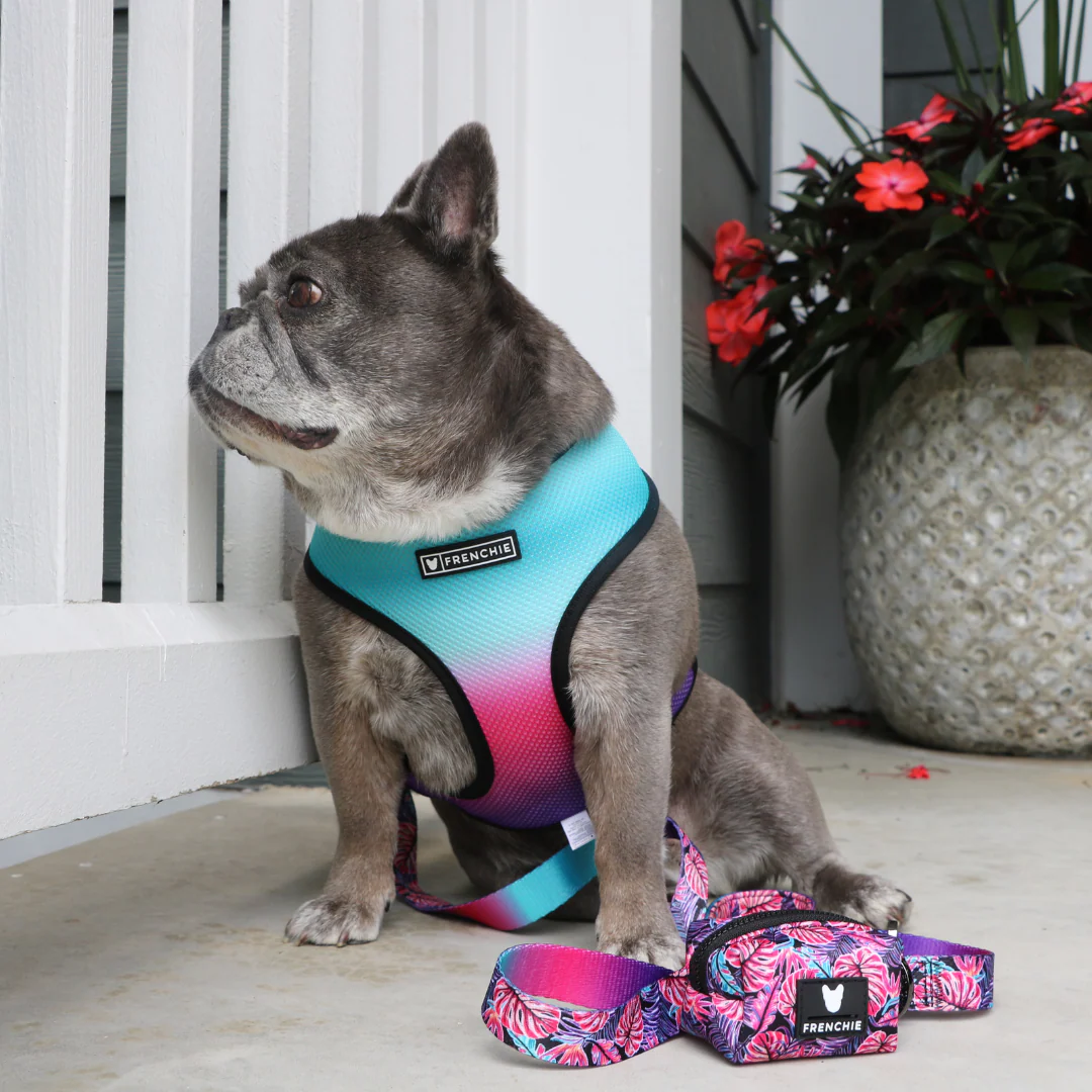 Frenchie Duo Reversible Harness - Tropical Palms - Image 12