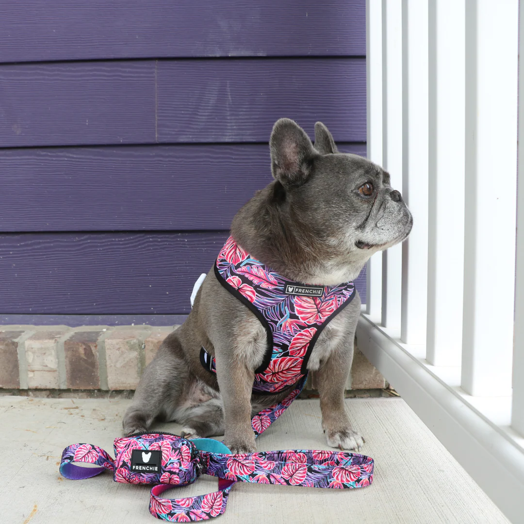 Frenchie Duo Reversible Harness - Tropical Palms - Image 4
