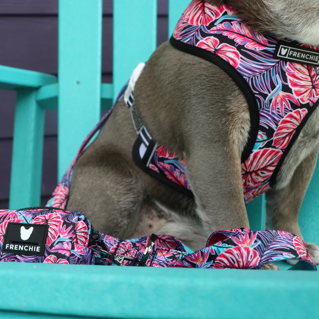 Frenchie Duo Reversible Harness - Tropical Palms - Image 6