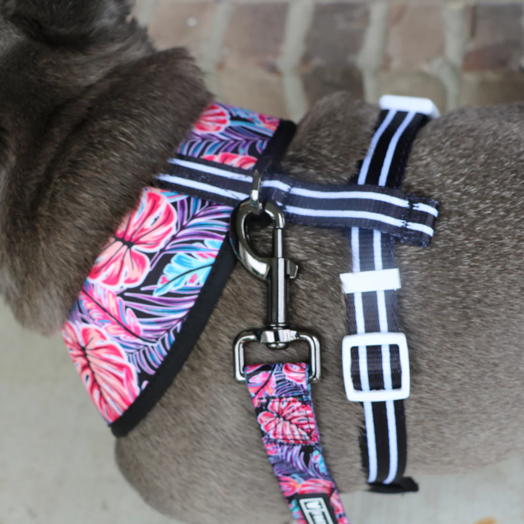Frenchie Duo Reversible Harness - Tropical Palms - Image 9